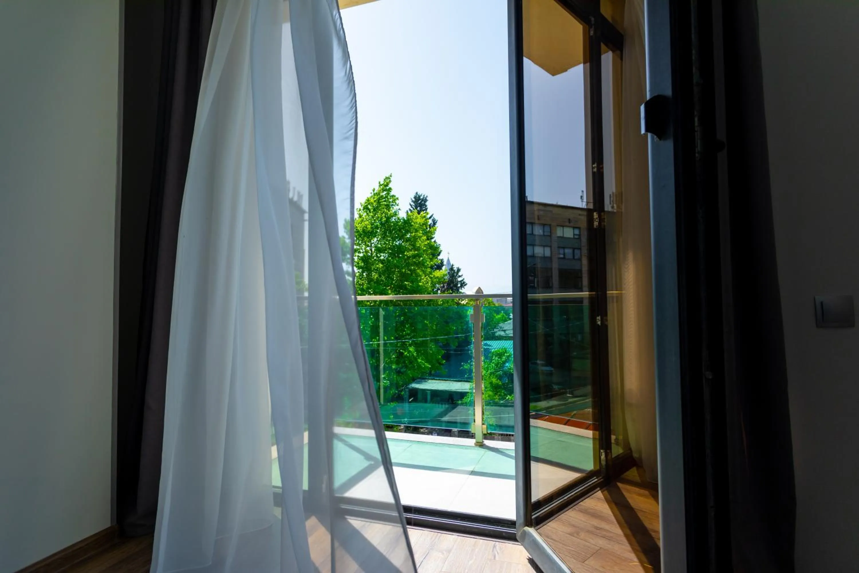 Balcony/Terrace in Hotel Rustaveli