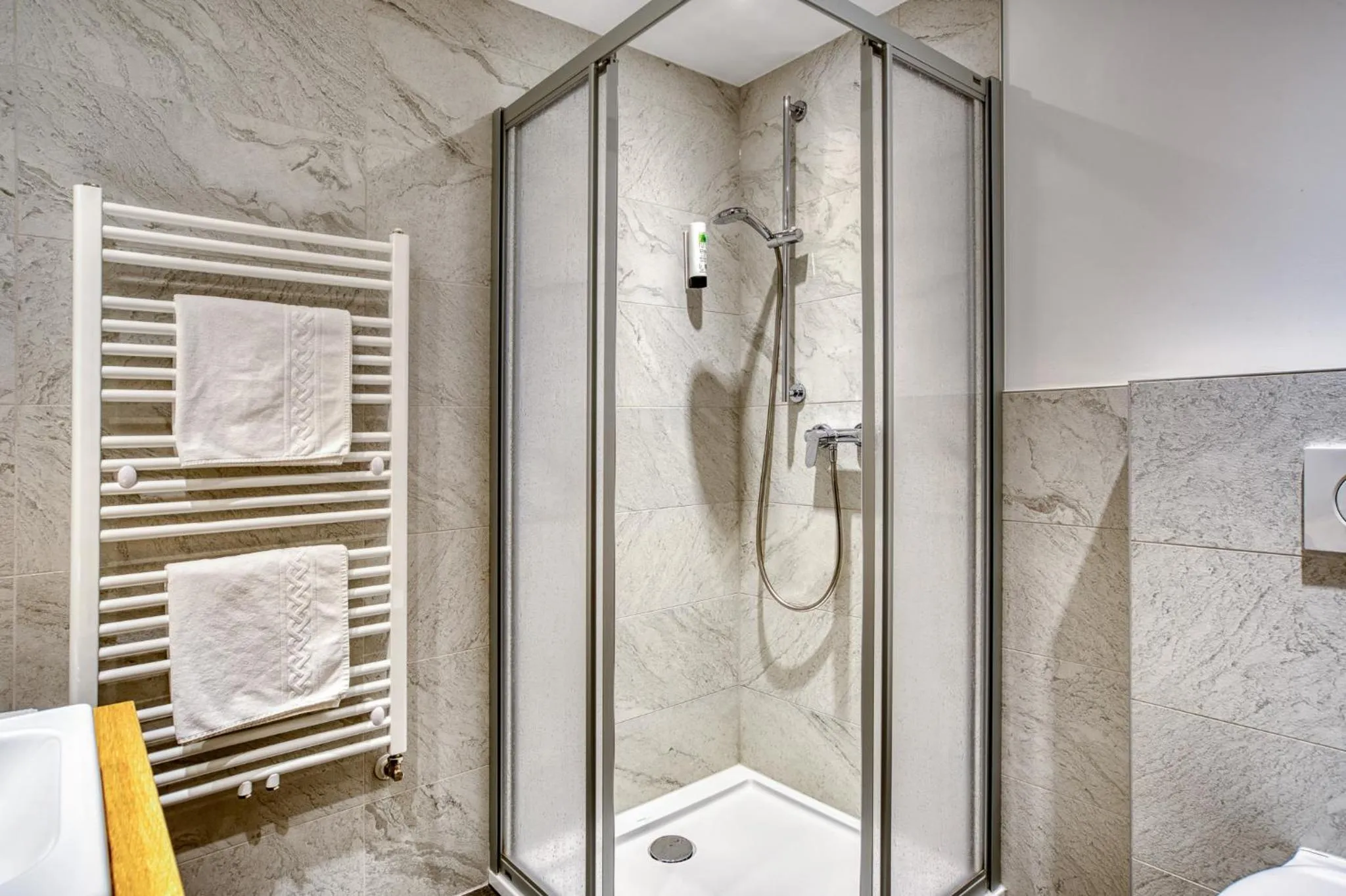 Shower in Hotel Erika