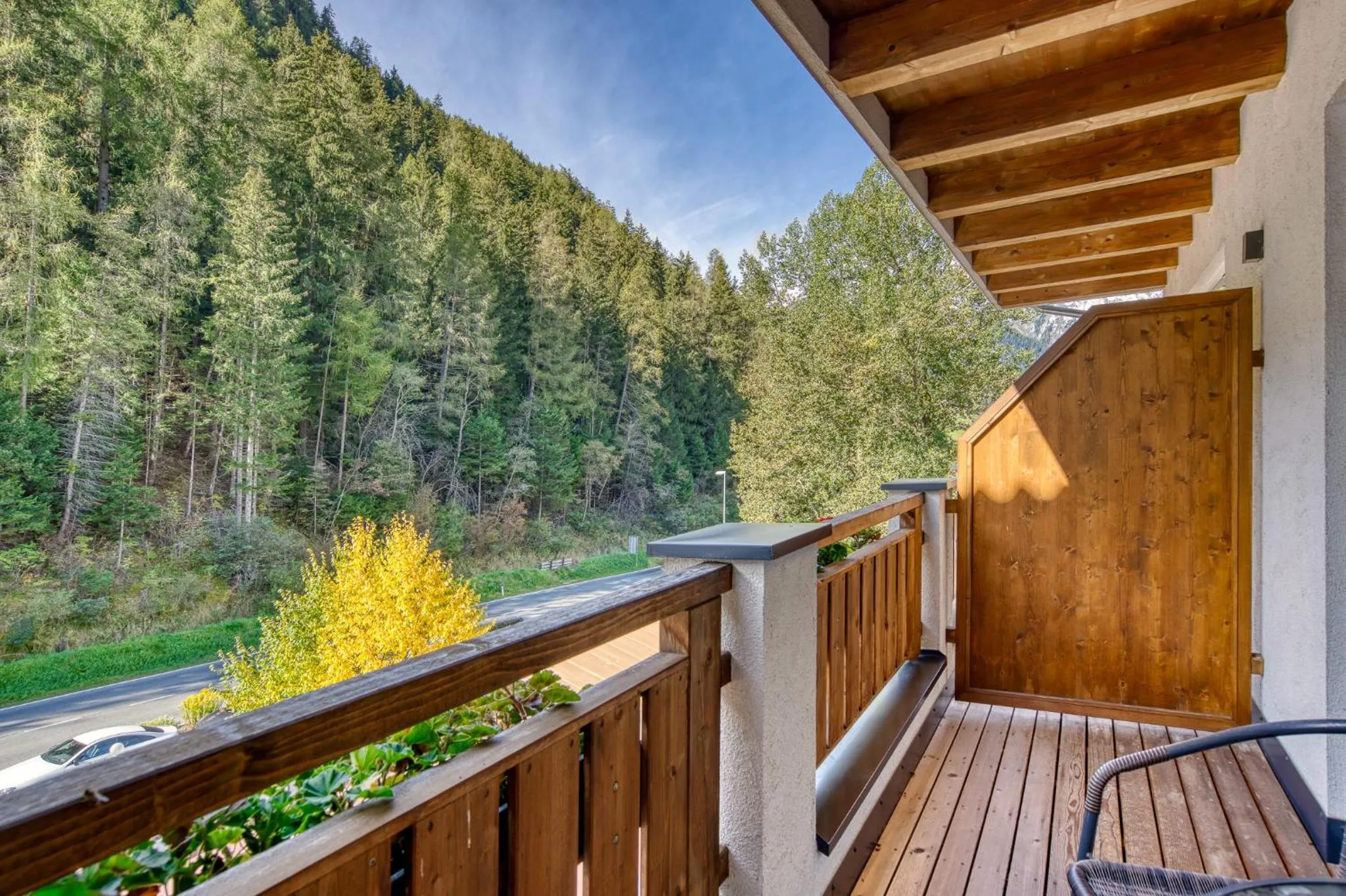 Balcony/Terrace in Hotel Erika