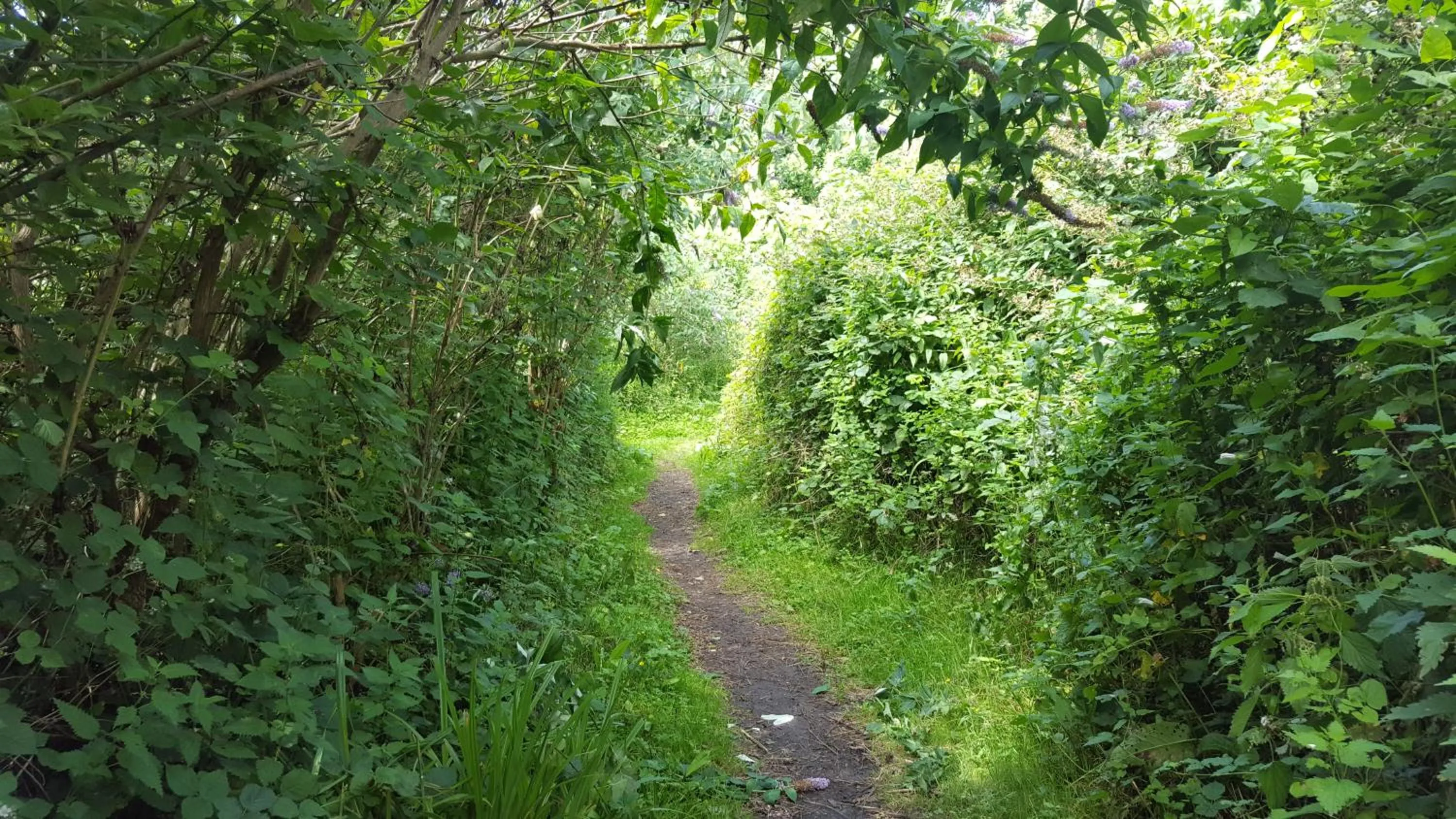 South Downs Eco Lodge & Camping