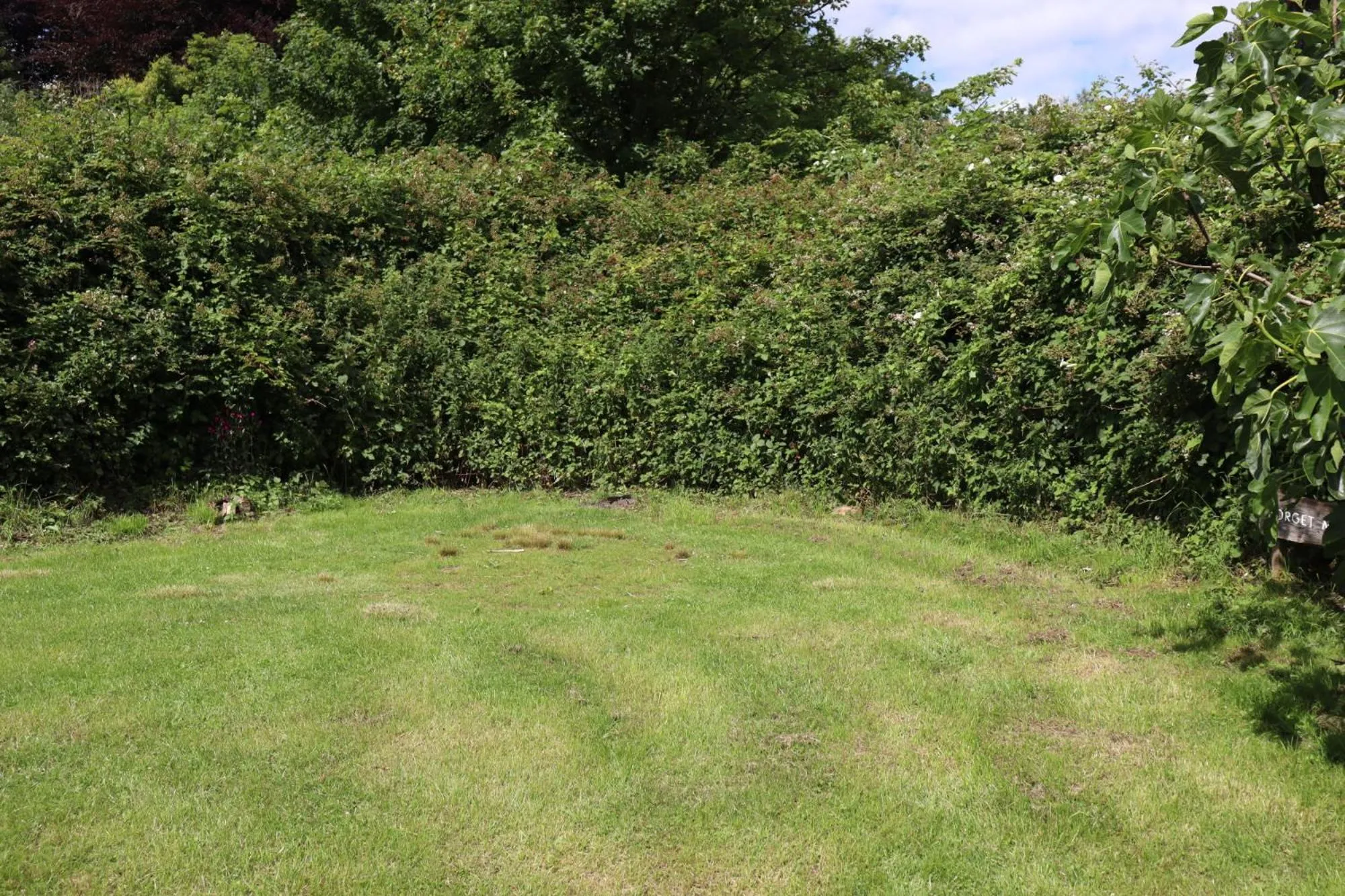 South Downs Eco Lodge & Camping