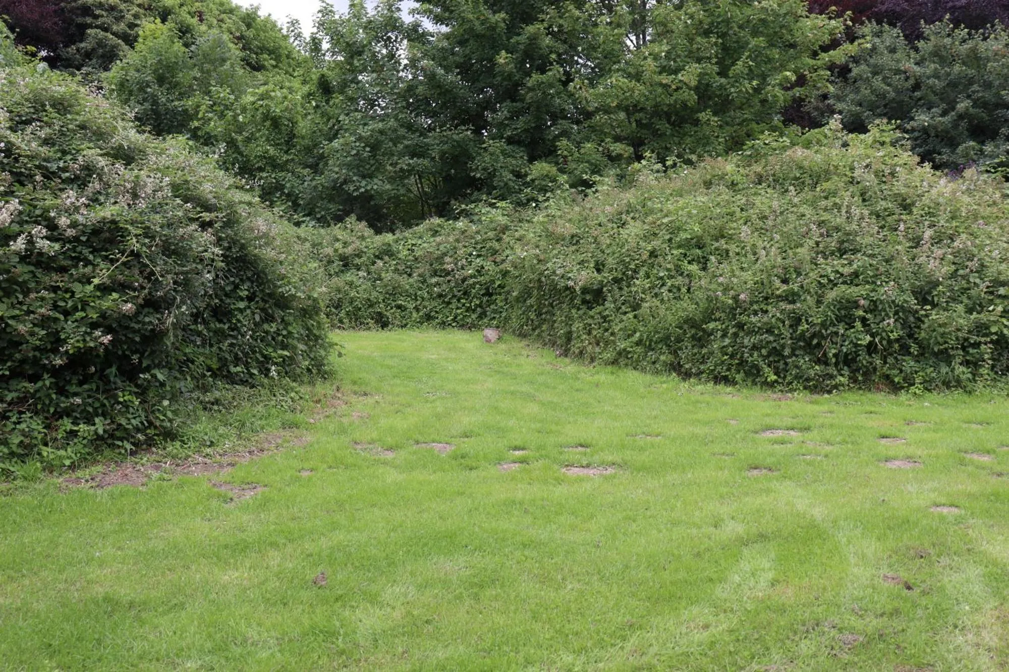 South Downs Eco Lodge & Camping