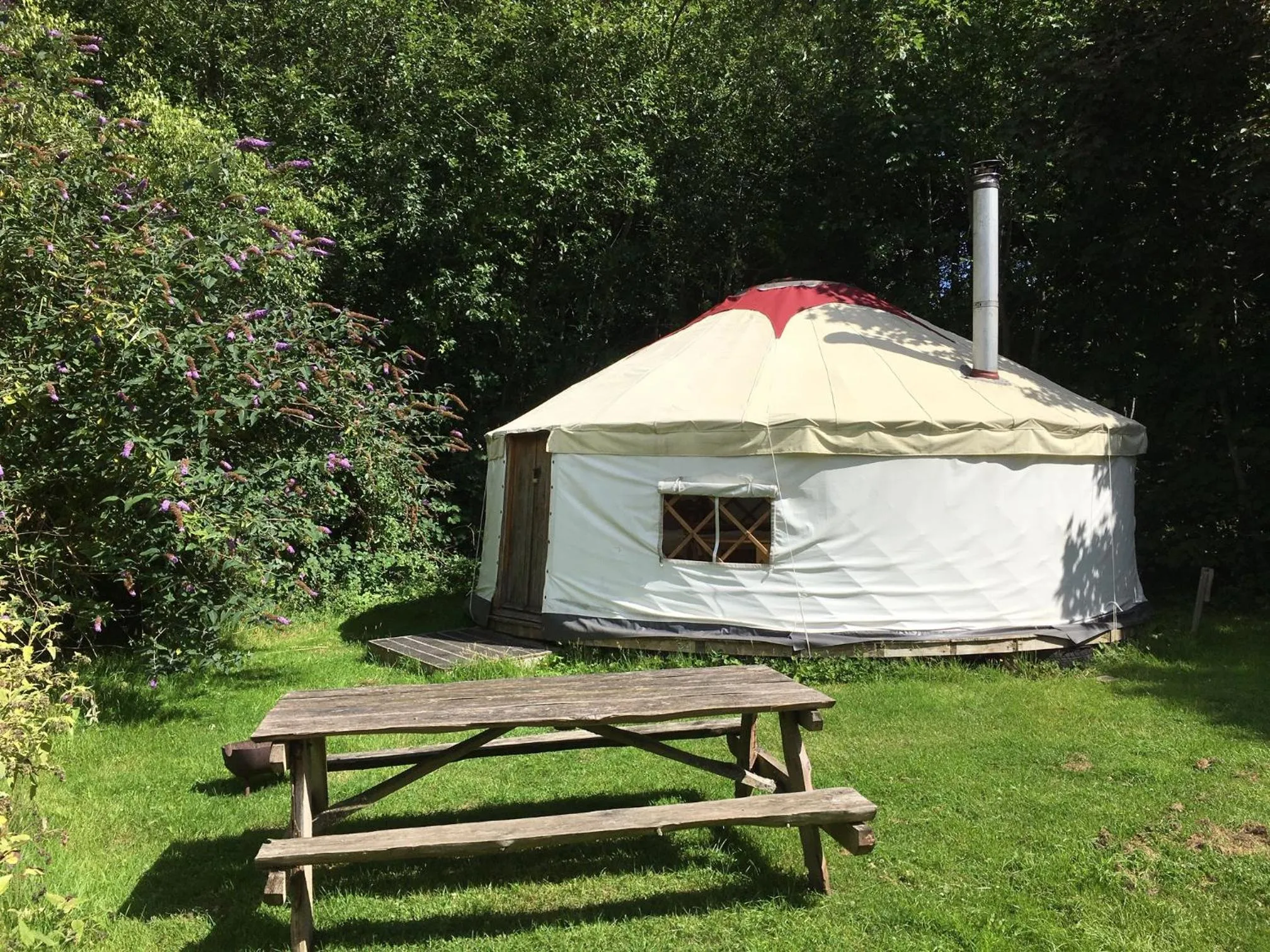 South Downs Eco Lodge & Camping