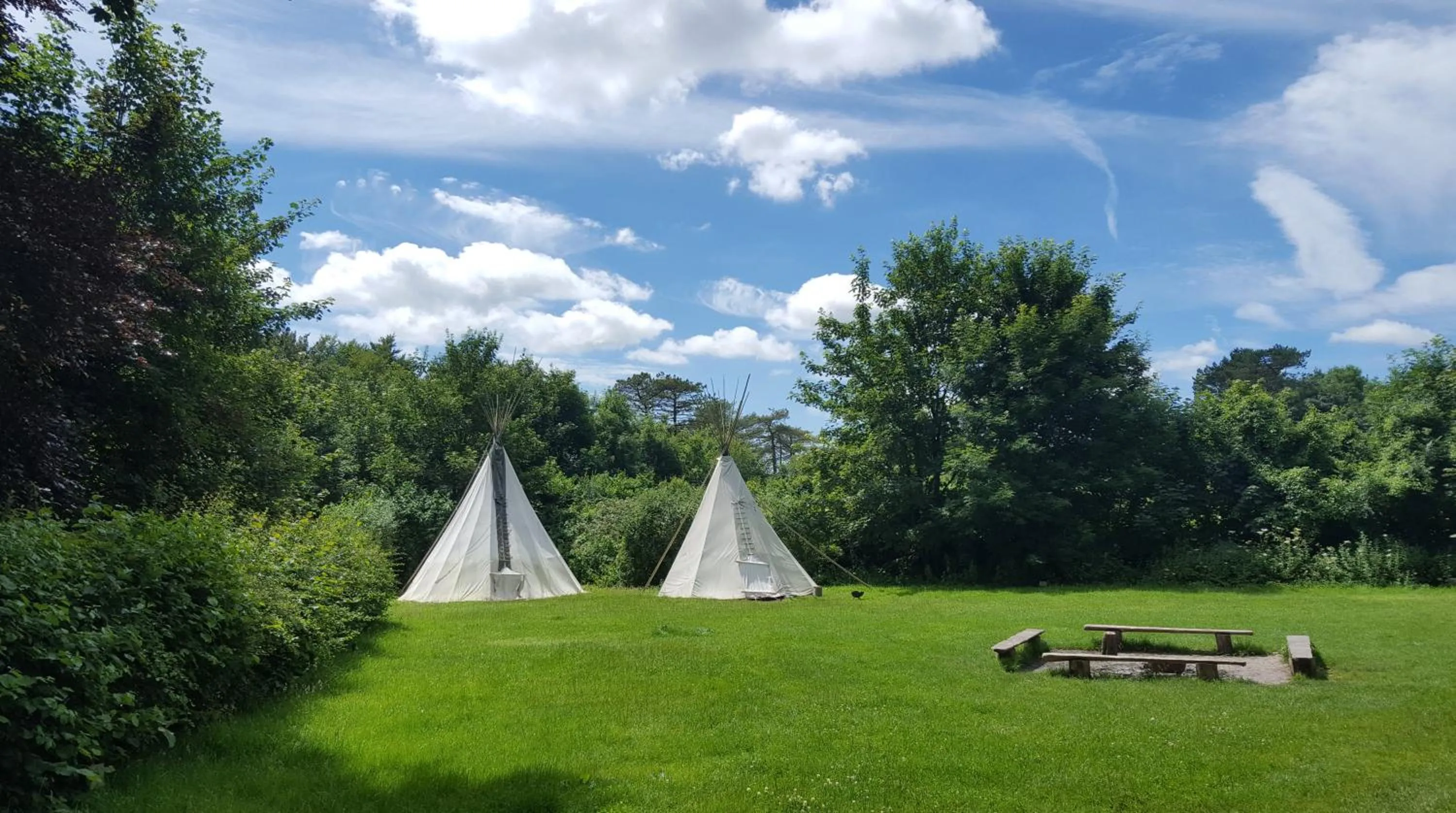 South Downs Eco Lodge & Camping