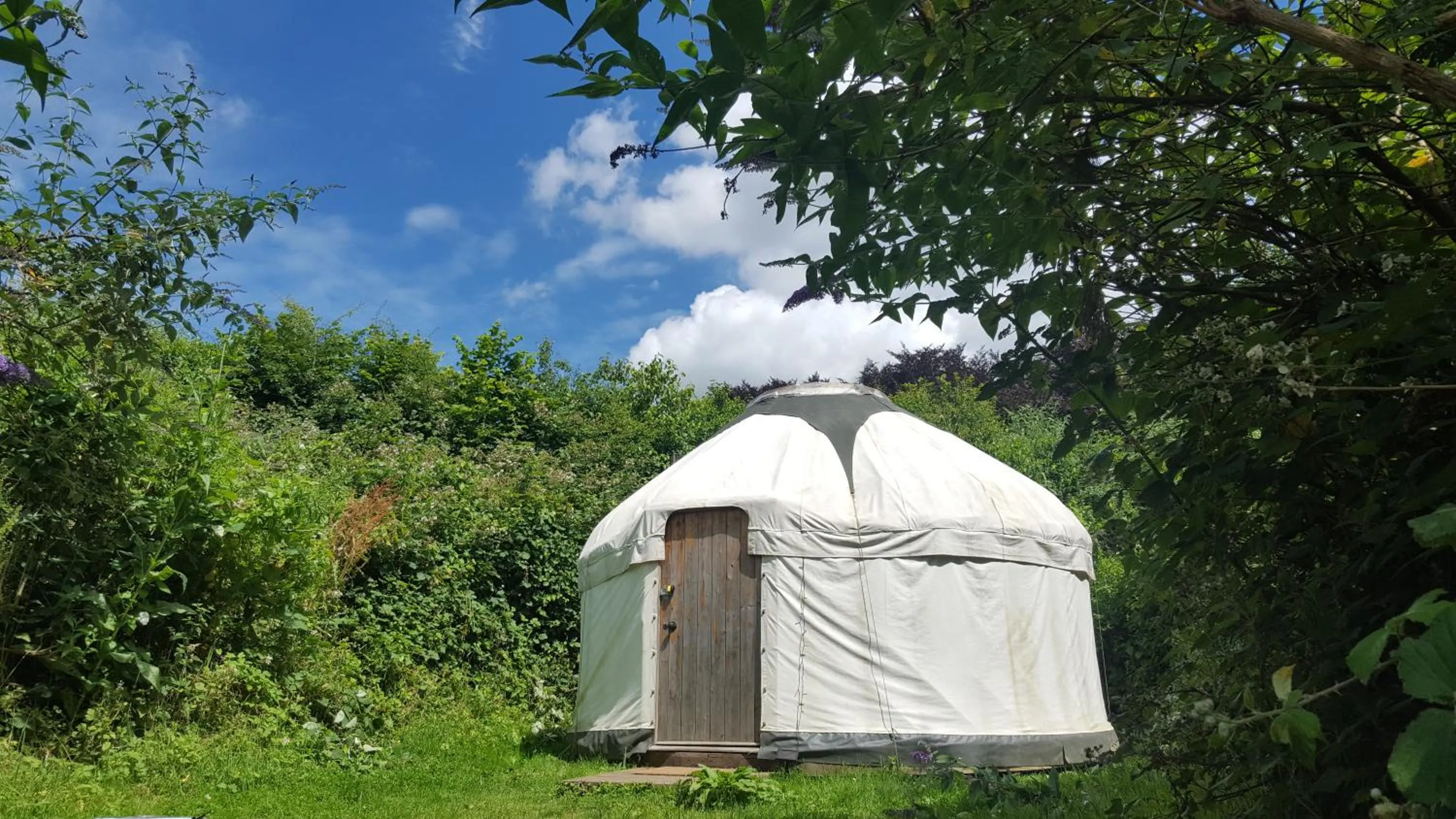 South Downs Eco Lodge & Camping