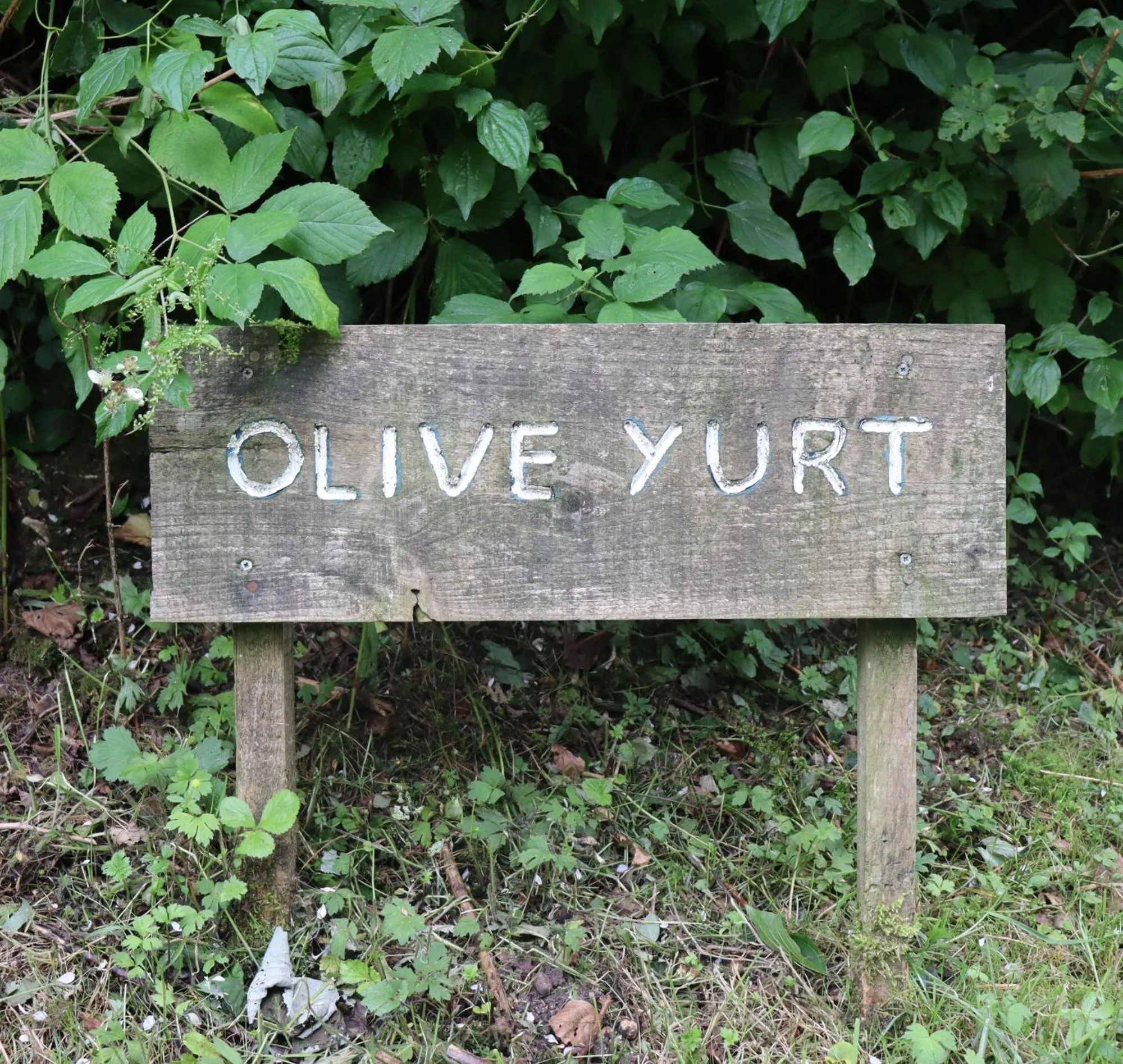 South Downs Eco Lodge & Camping