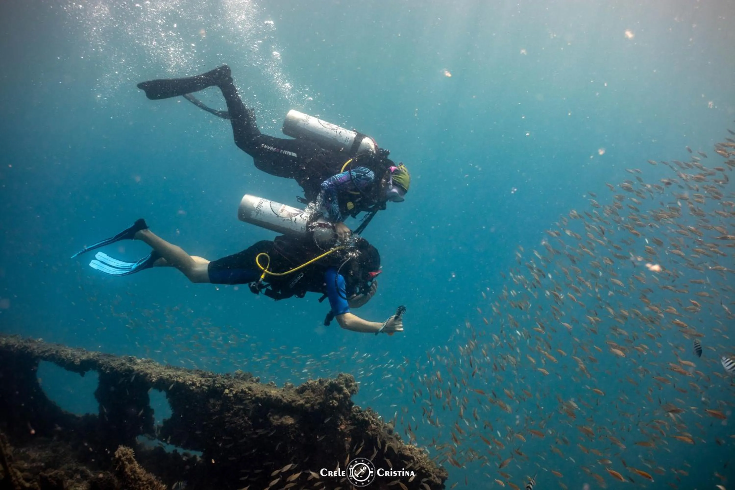 Diving in Pousada Beach Bahia
