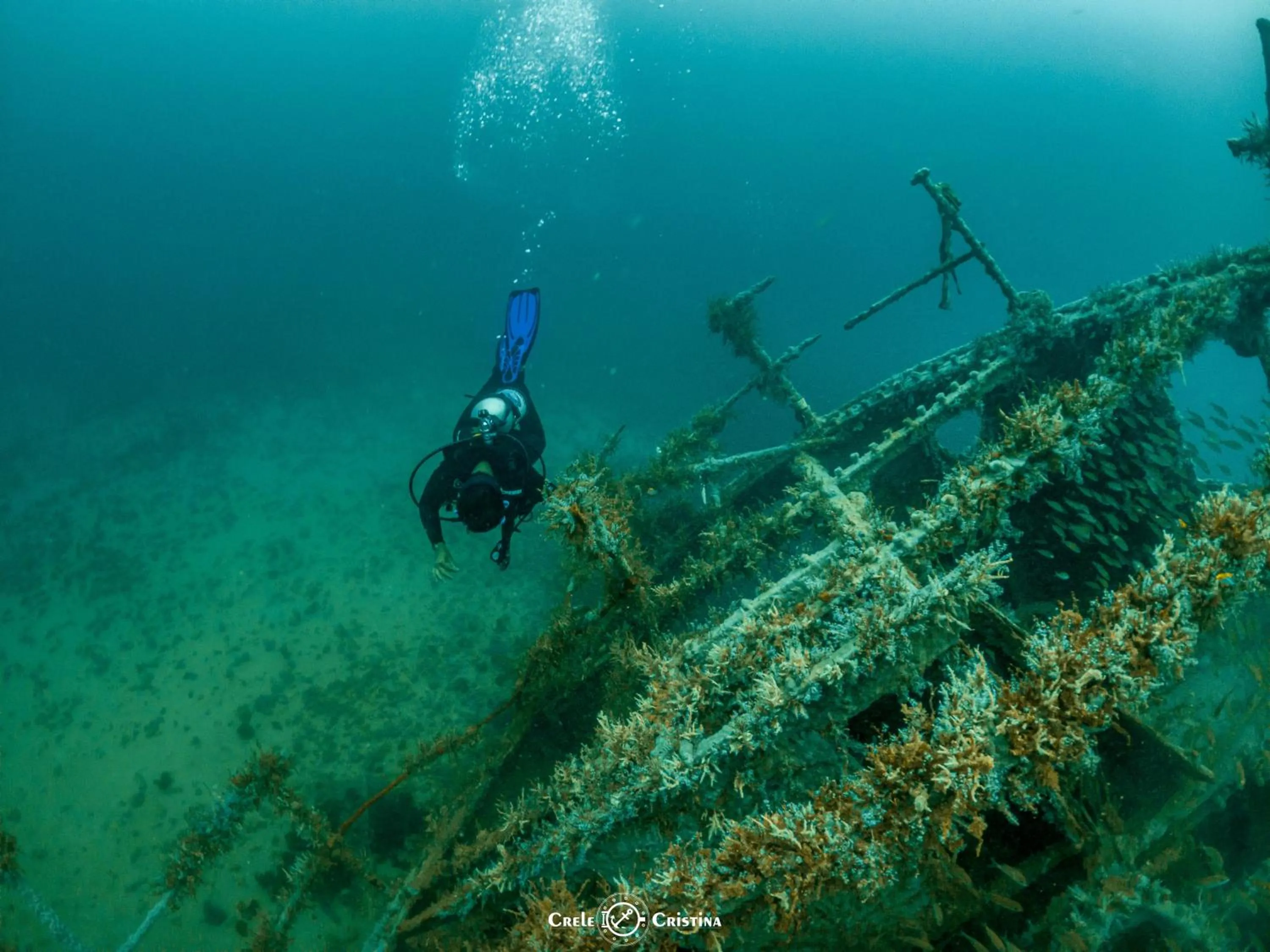 Diving in Pousada Beach Bahia
