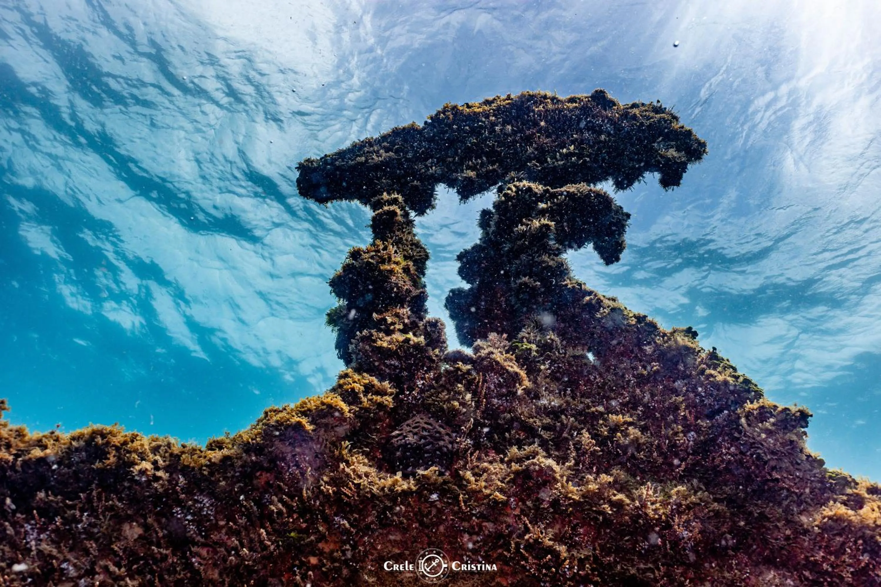 Diving in Pousada Beach Bahia