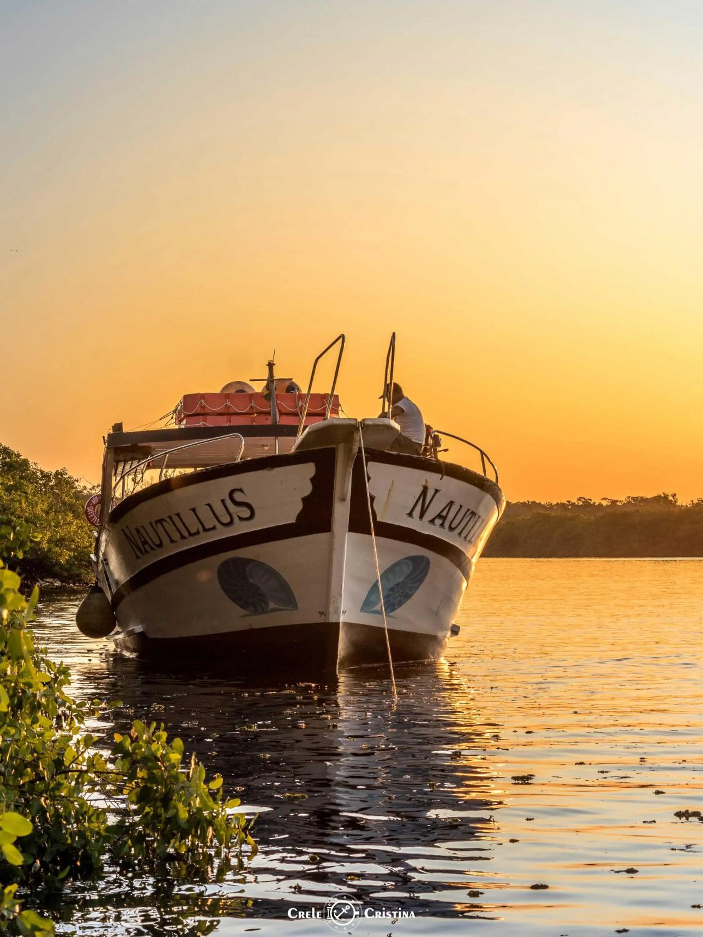 Natural landscape in Pousada Beach Bahia