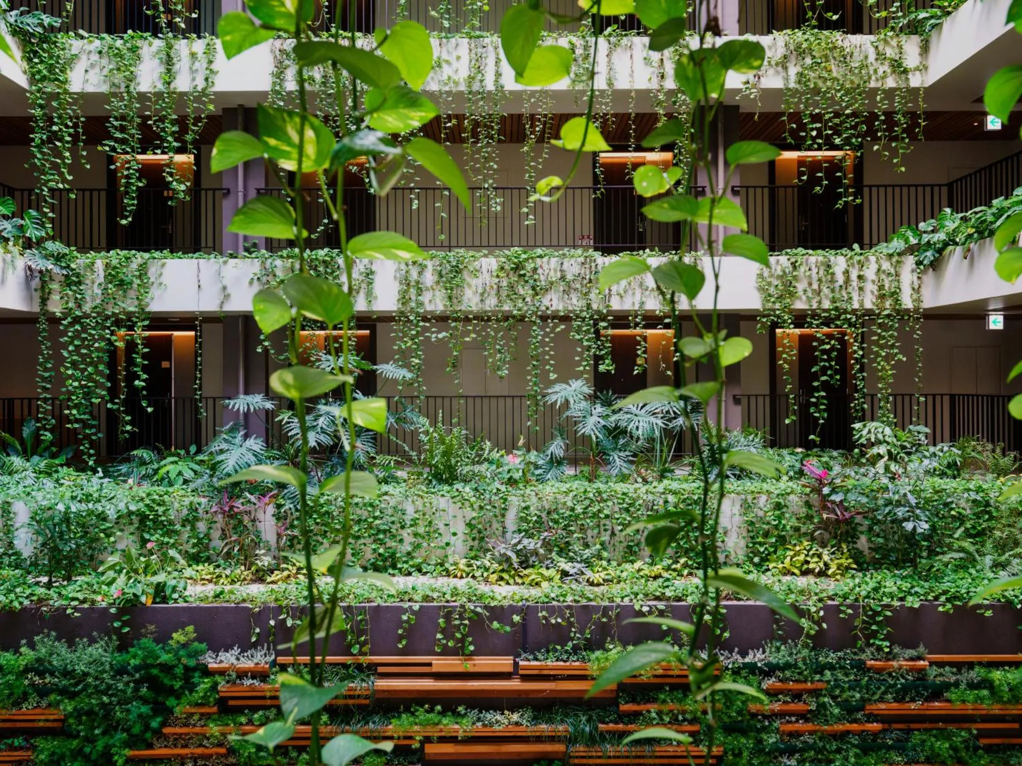 Area and facilities in MB GALLERY CHATAN by THE TERRACE HOTELS