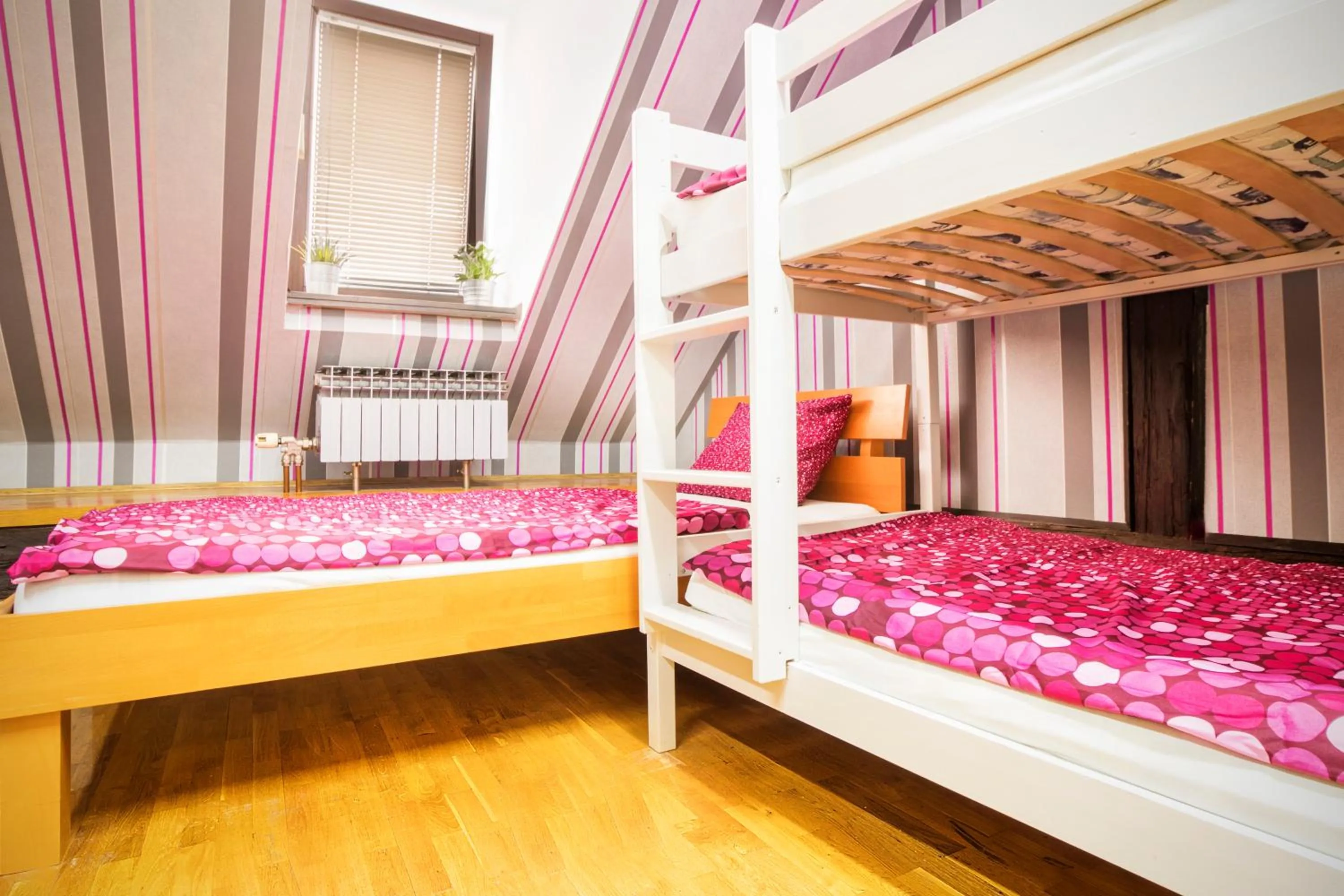 Bed in Hostel Centar