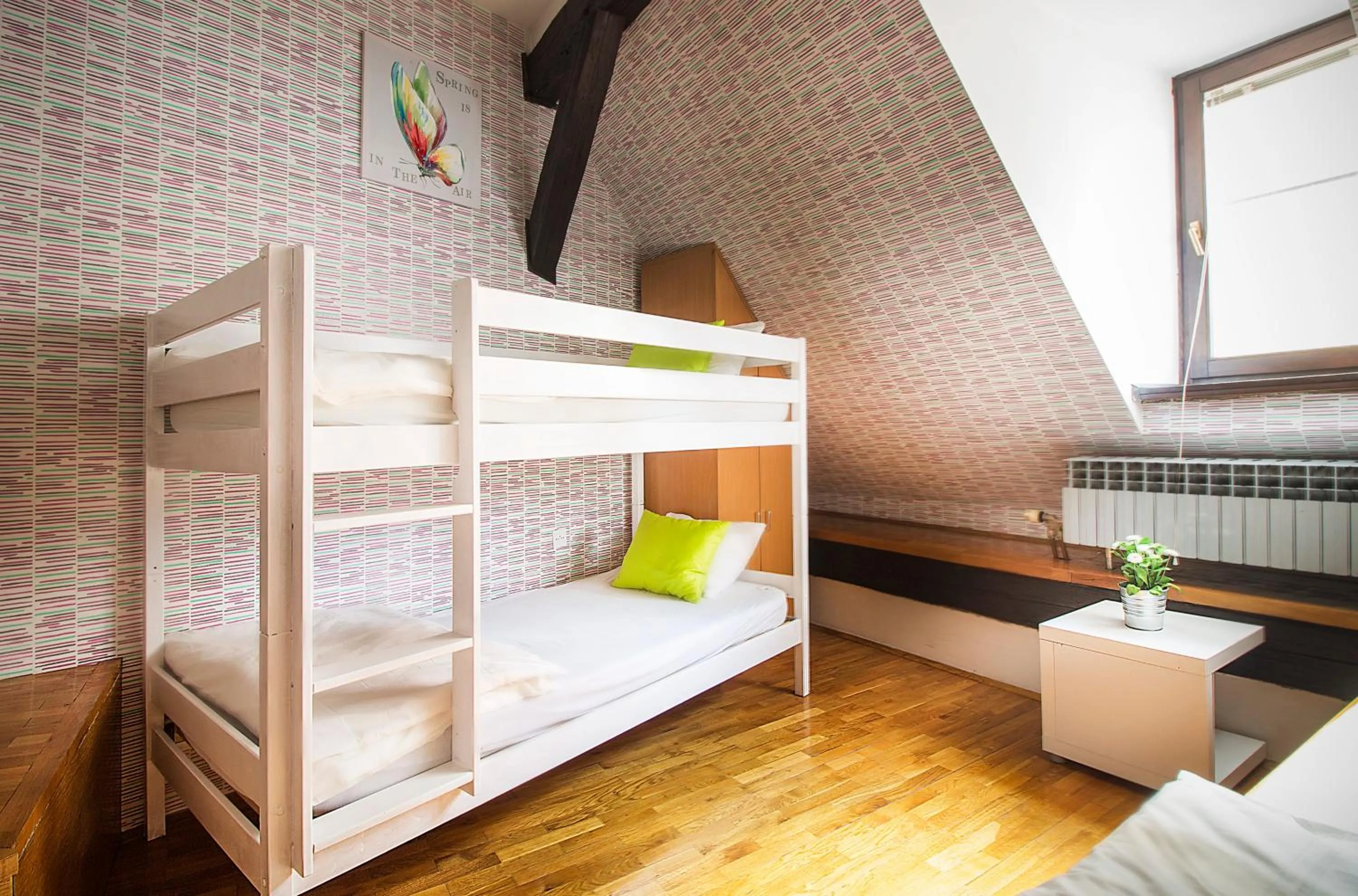 bunk bed, Bed in Hostel Centar