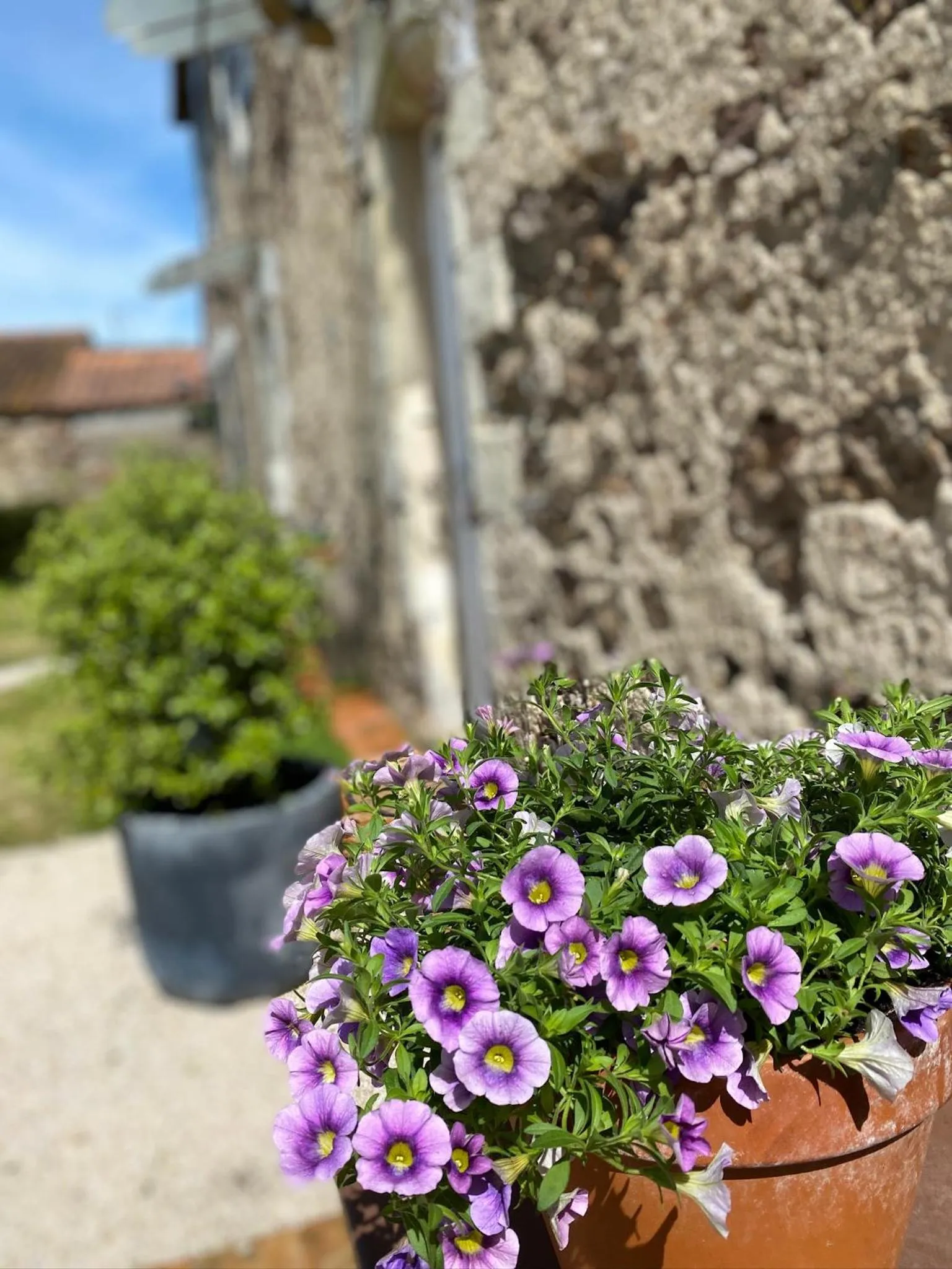 Le Mottay Guesthouse