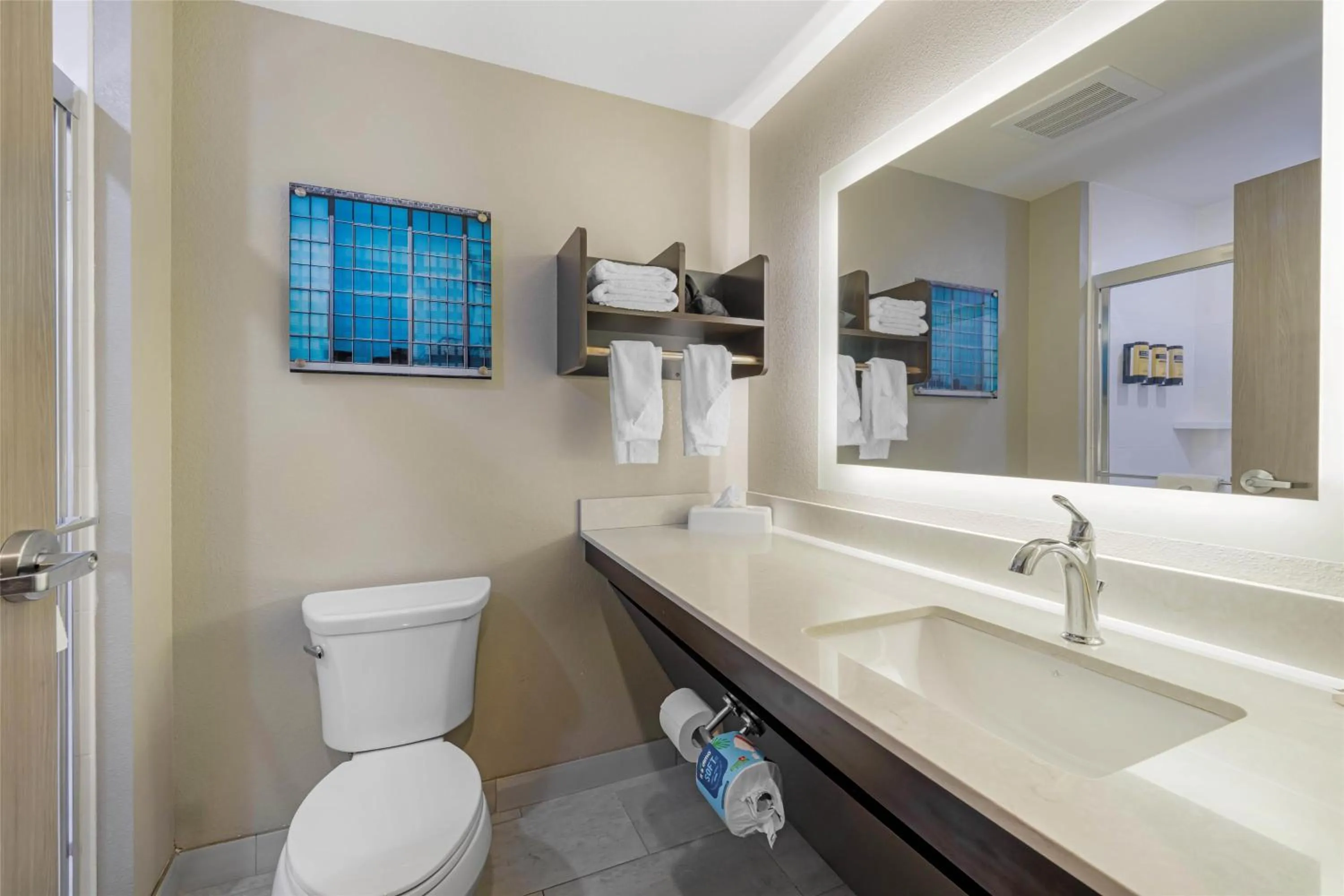 Bathroom in Best Western Plus McPherson