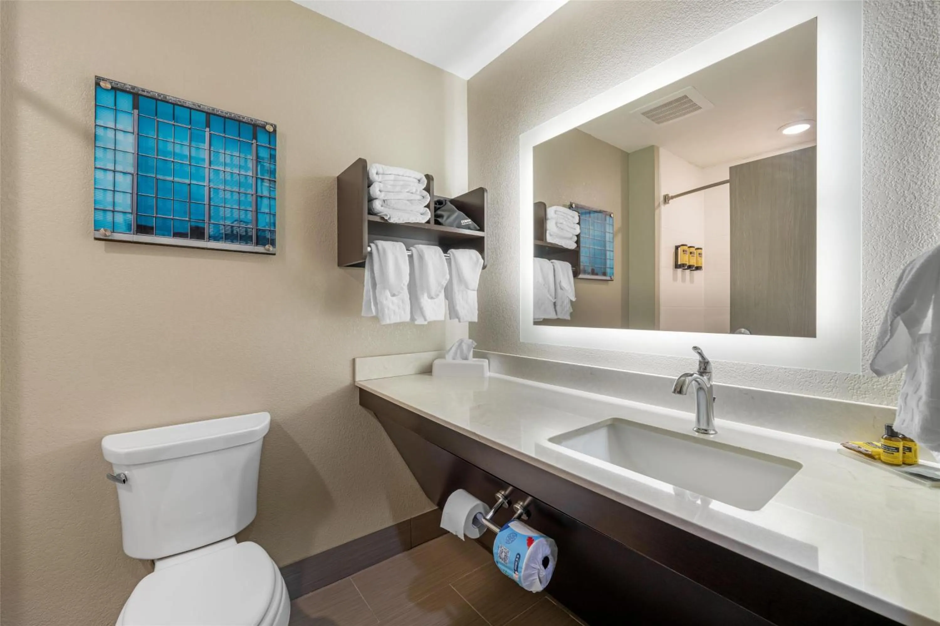 Bathroom in Best Western Plus McPherson