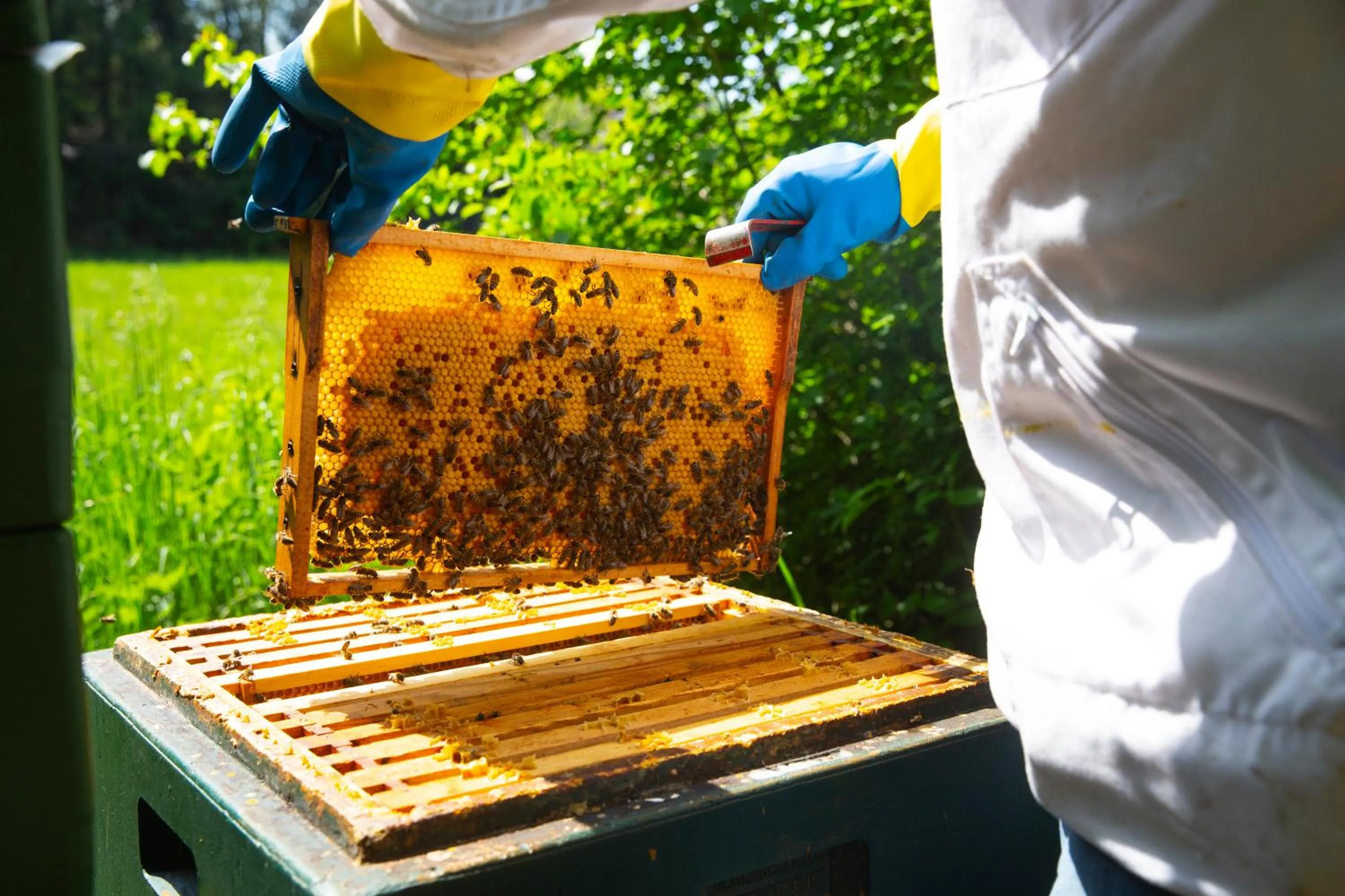 Property building in Hotel-Pension Haus Holtdirk