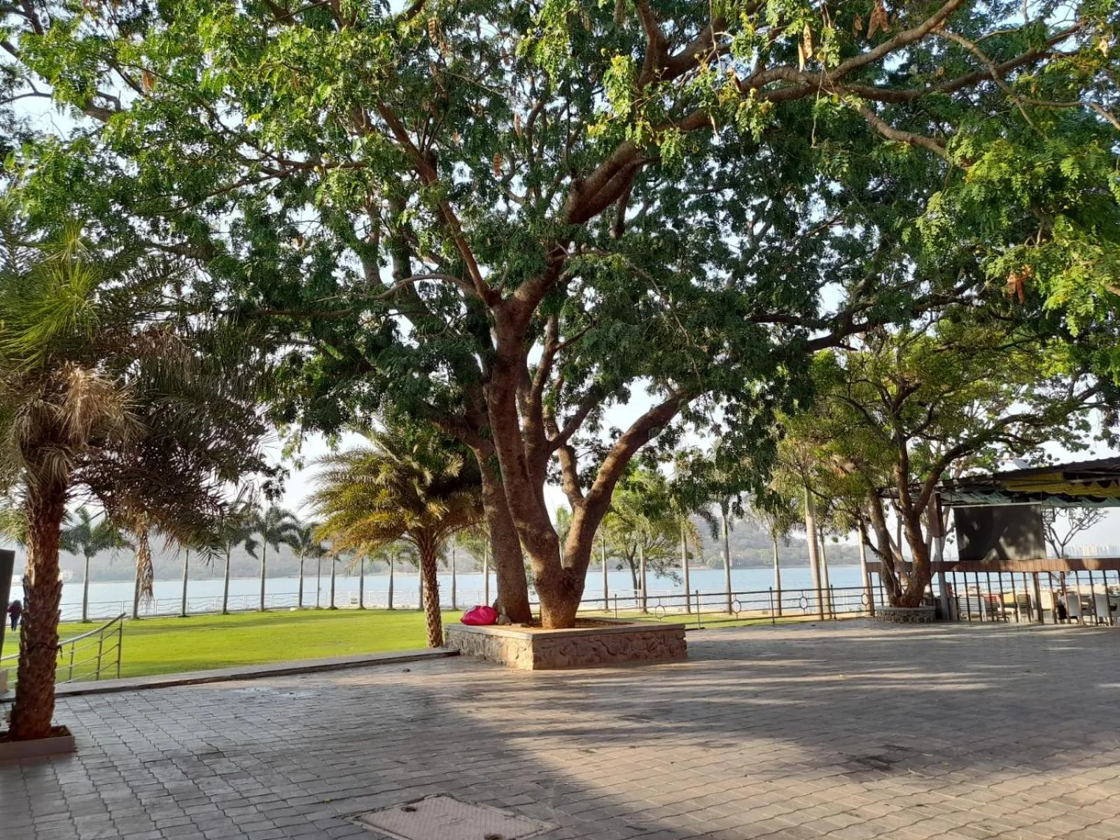 Garden view in Aquarius Resort