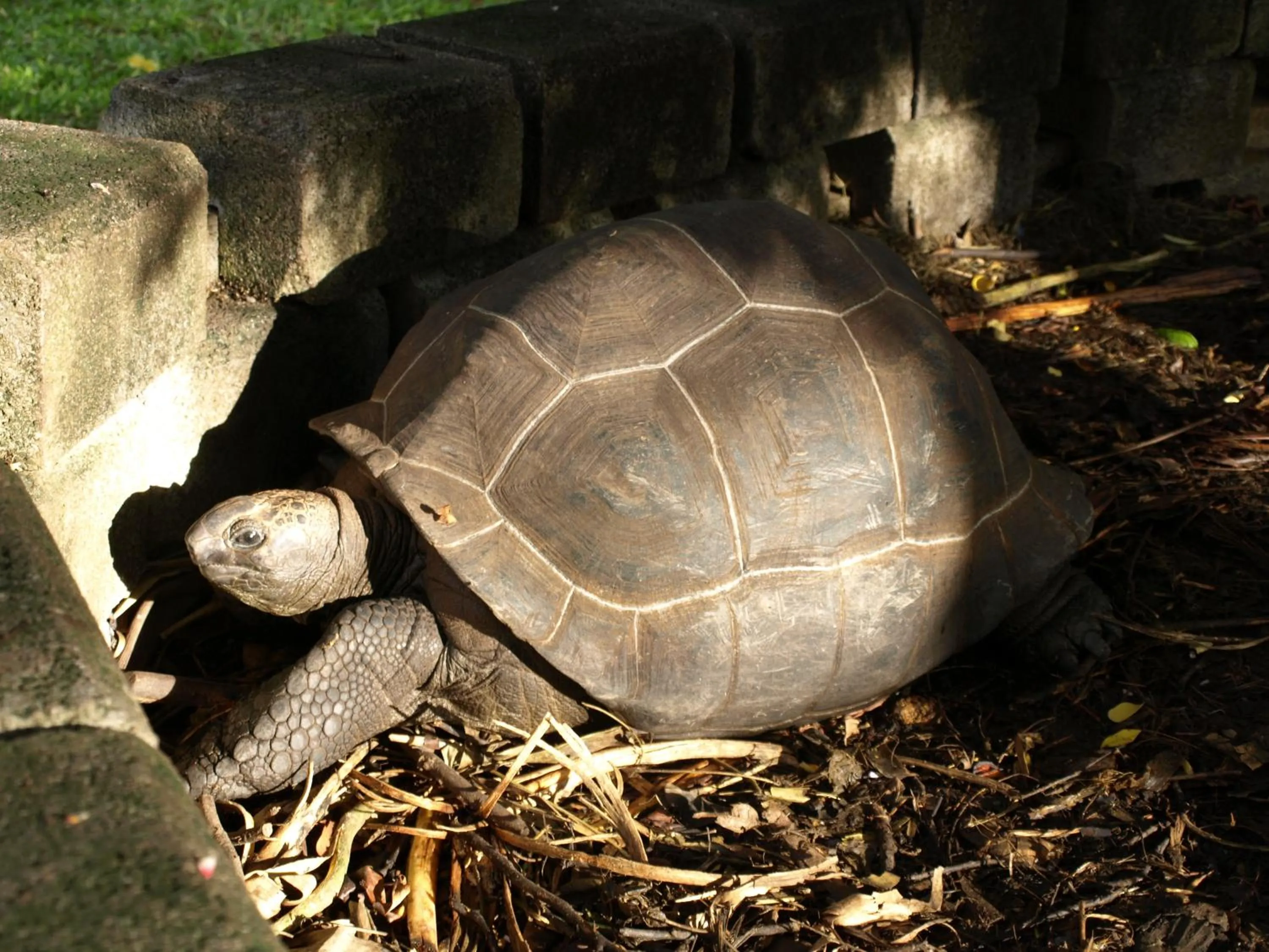 Facade/entrance in Castaway Lodge