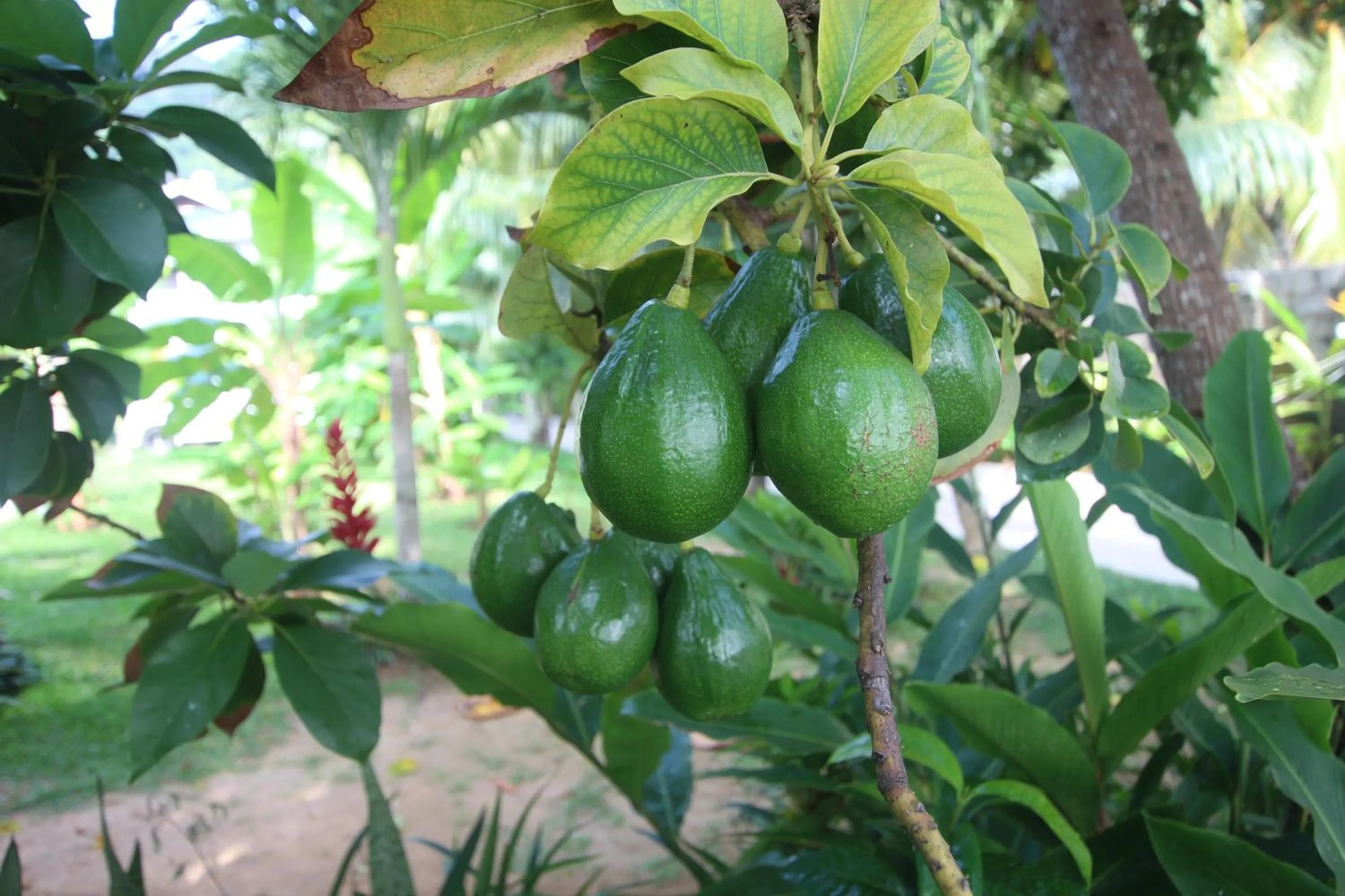 Natural landscape in Castaway Lodge