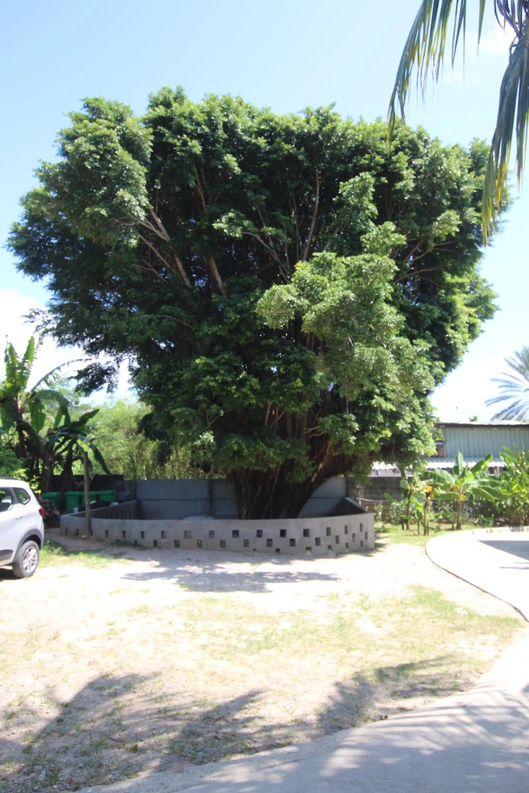 Spring in Castaway Lodge