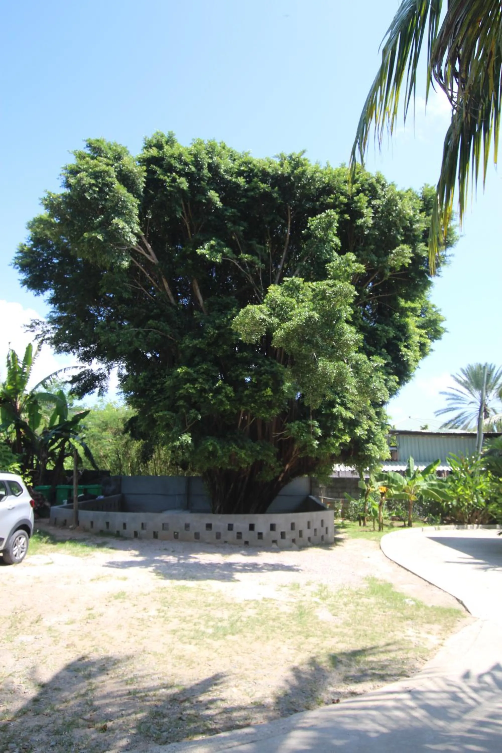 Natural landscape in Castaway Lodge