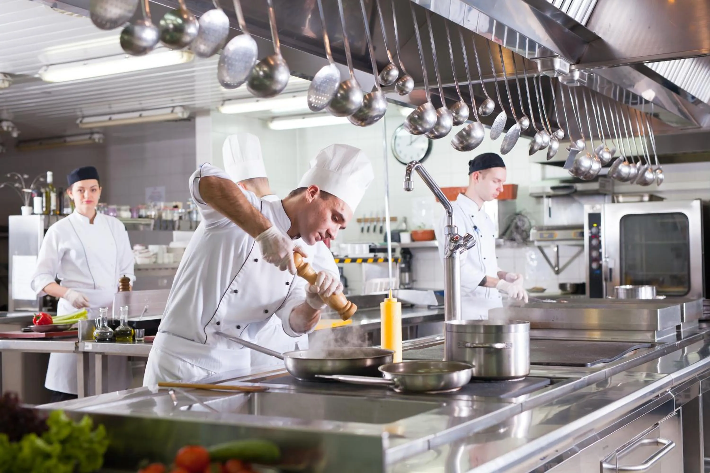 Staff in Hotel Elefantino Grey - Free Brunch & Breakfast Until 13-00 - Vicinissimi a Mirabilandia