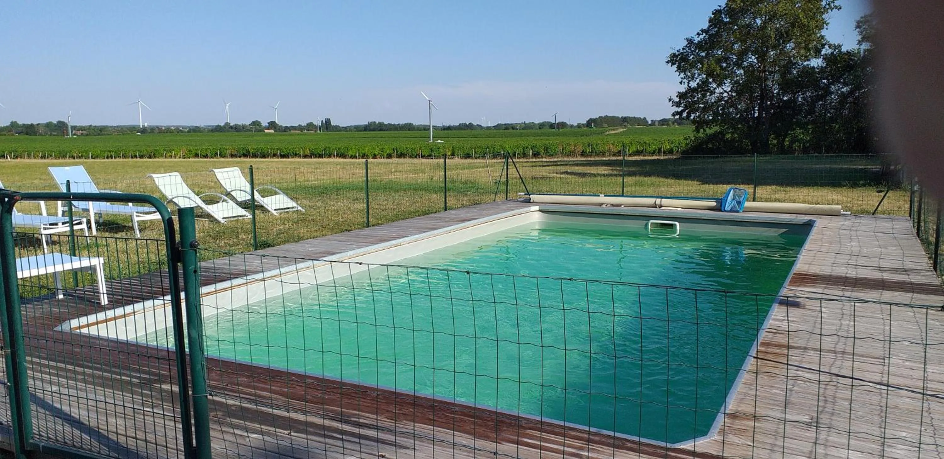 Swimming pool in Le château de la brosse Chambres d'hôtes