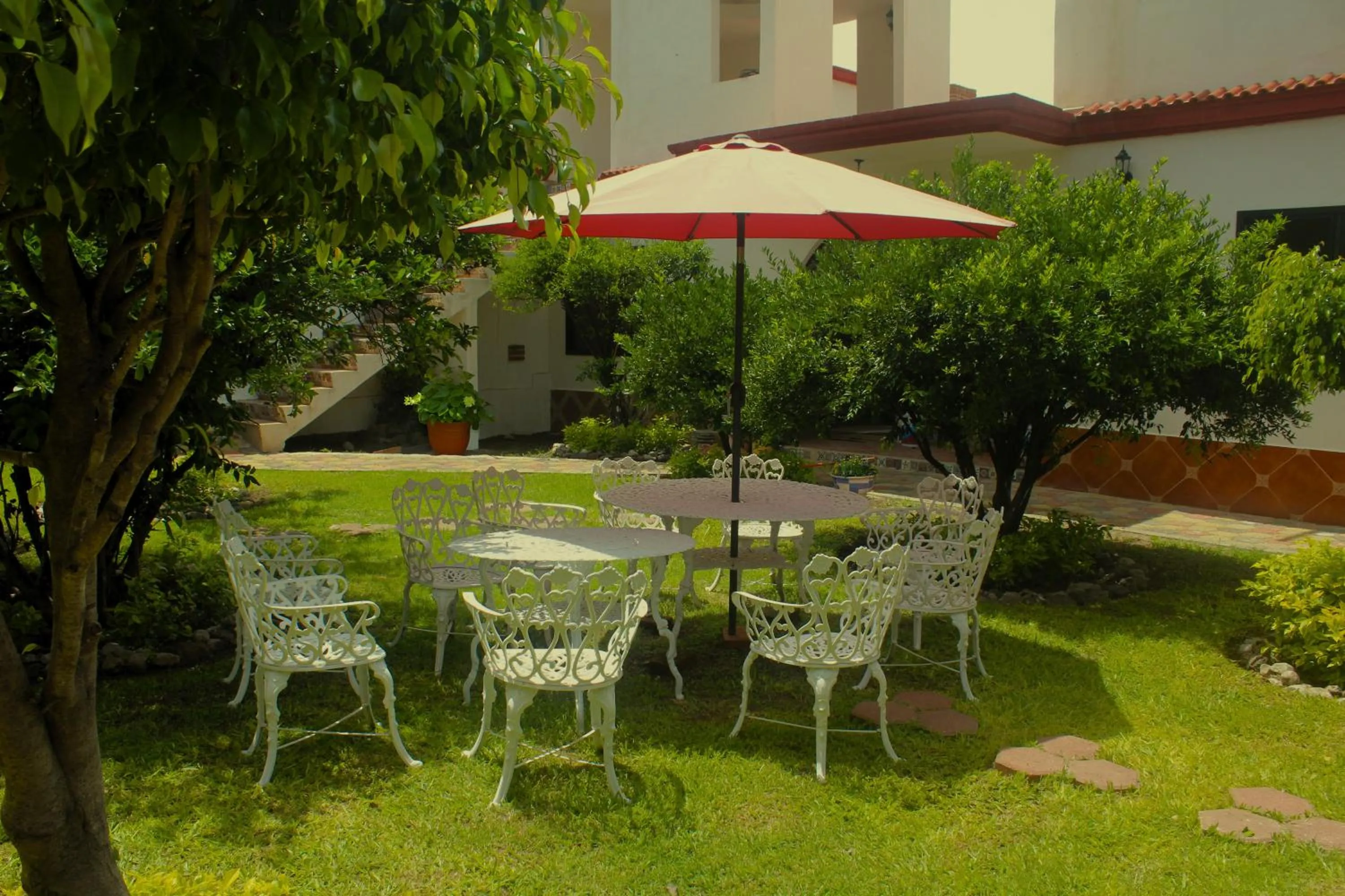 Garden in Hotel Muñoz de Luna