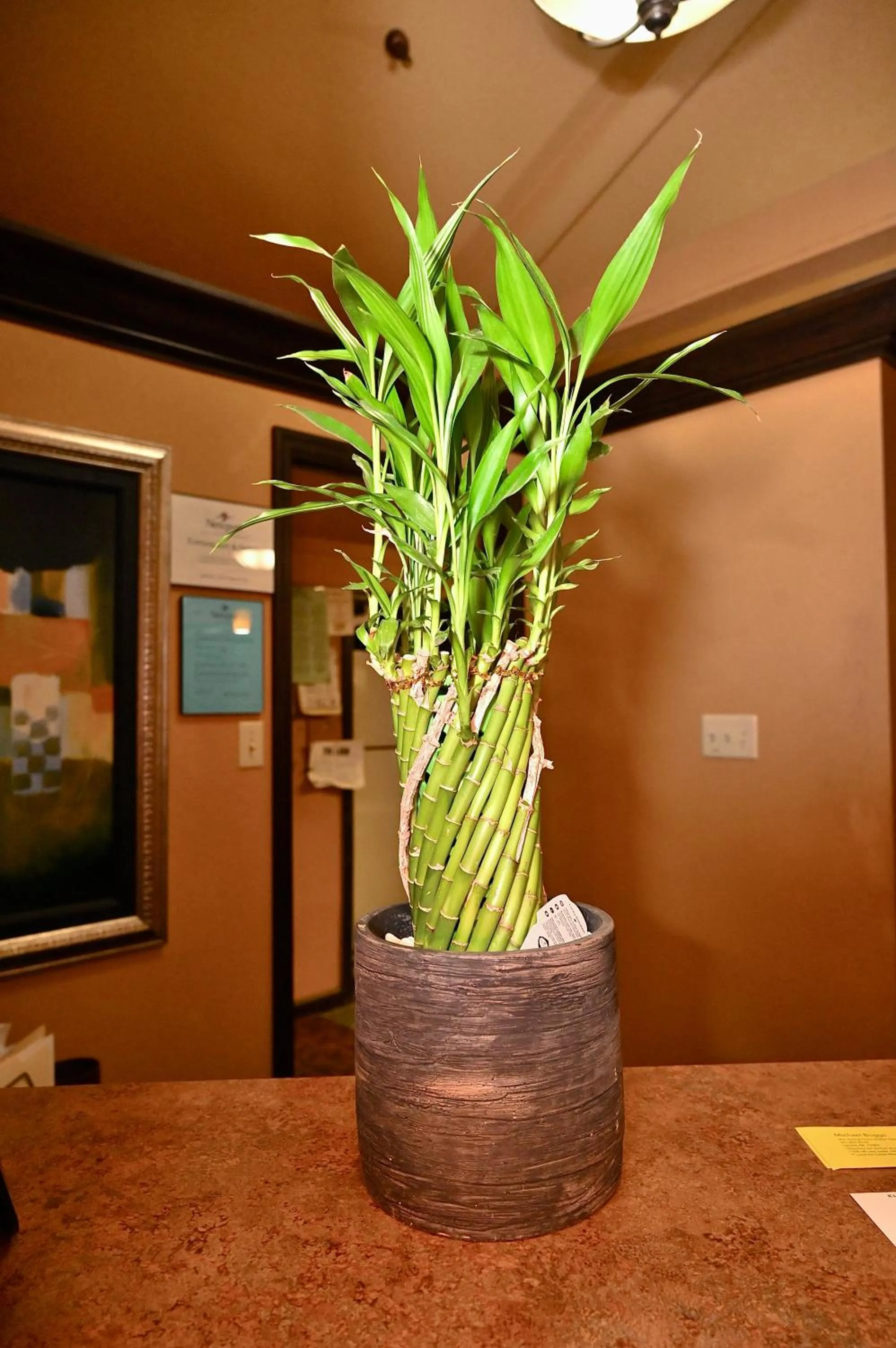 Fortune Inn & Suites