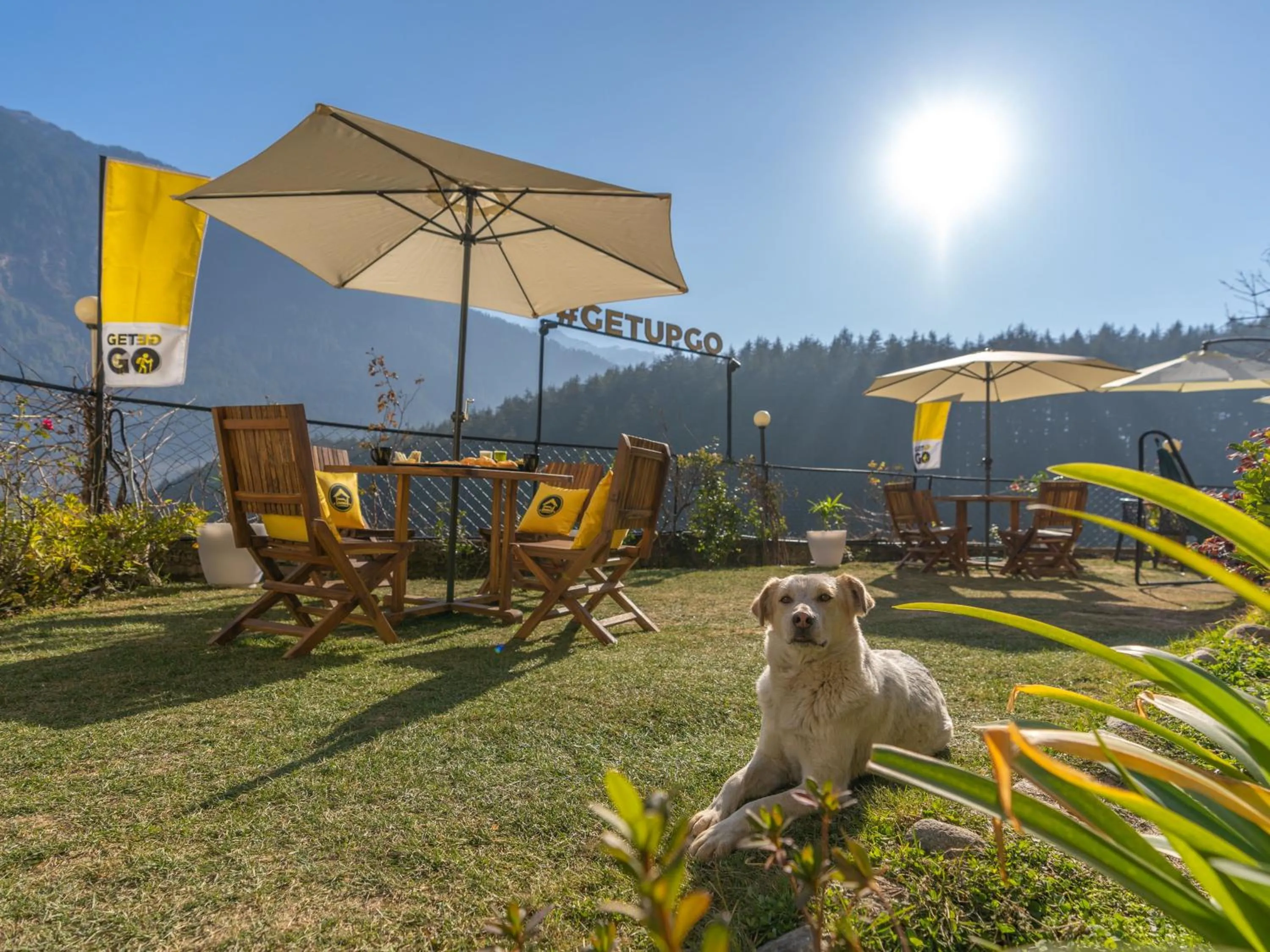 Day in The Hosteller Manali, Old Manali