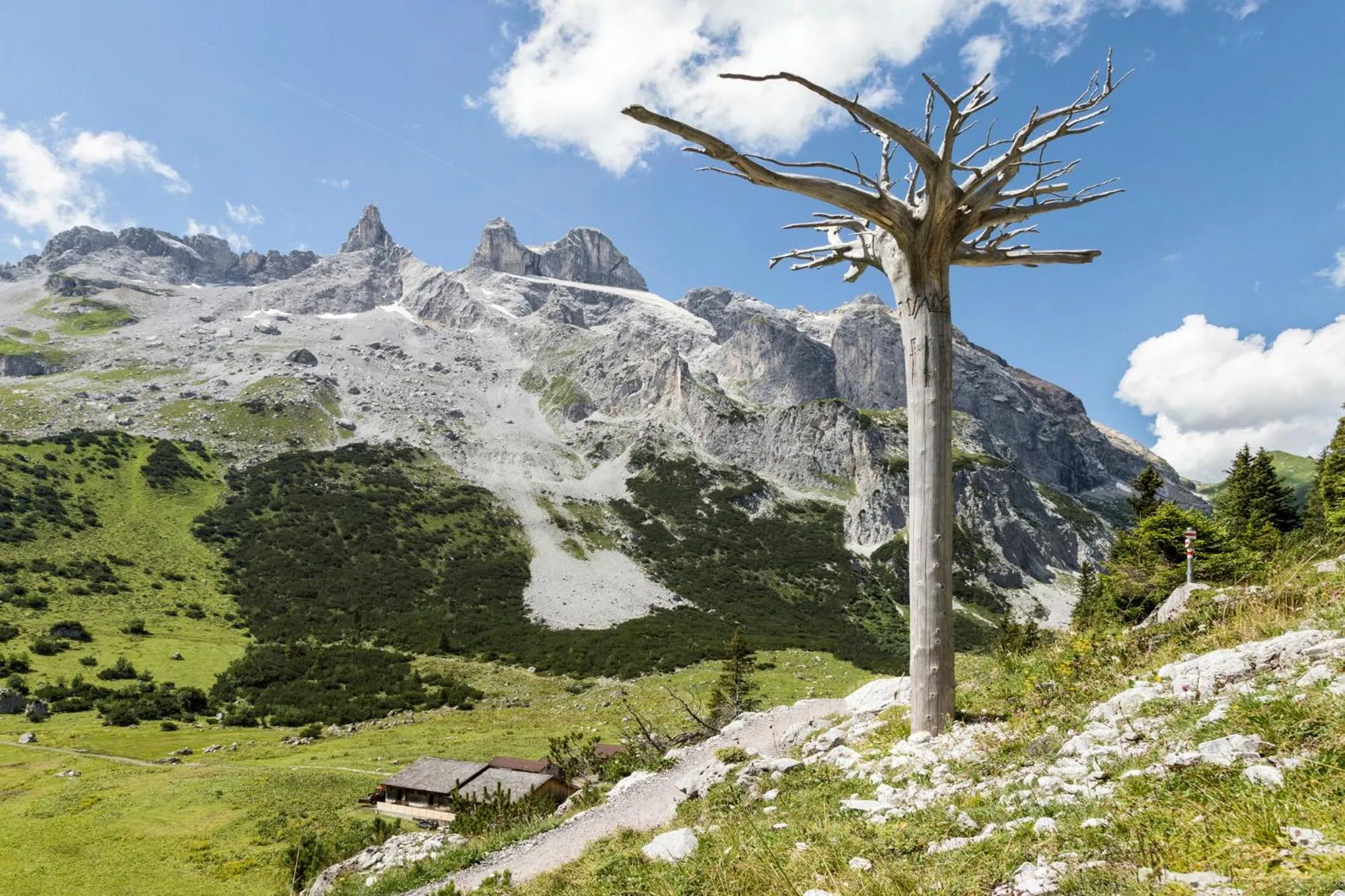 Natural landscape in Berg-Spa & Hotel Zamangspitze