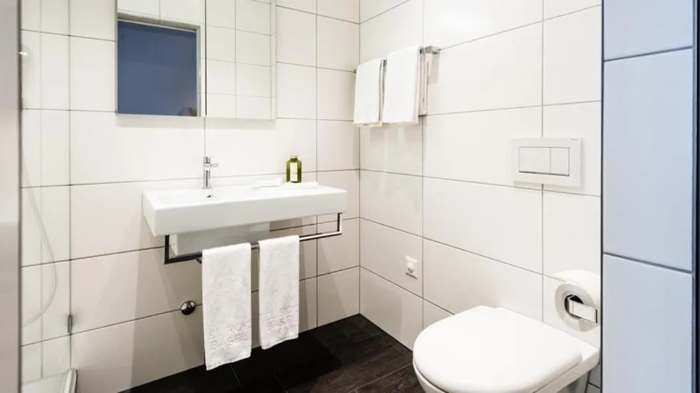 Toilet in Central City Hotel Rochat