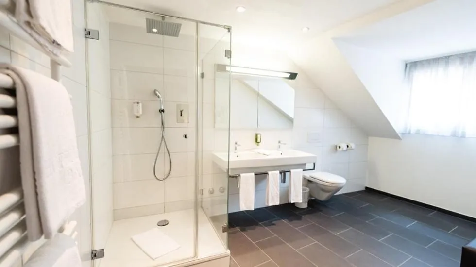 Shower in Central City Hotel Rochat