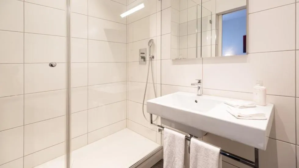 Shower in Central City Hotel Rochat