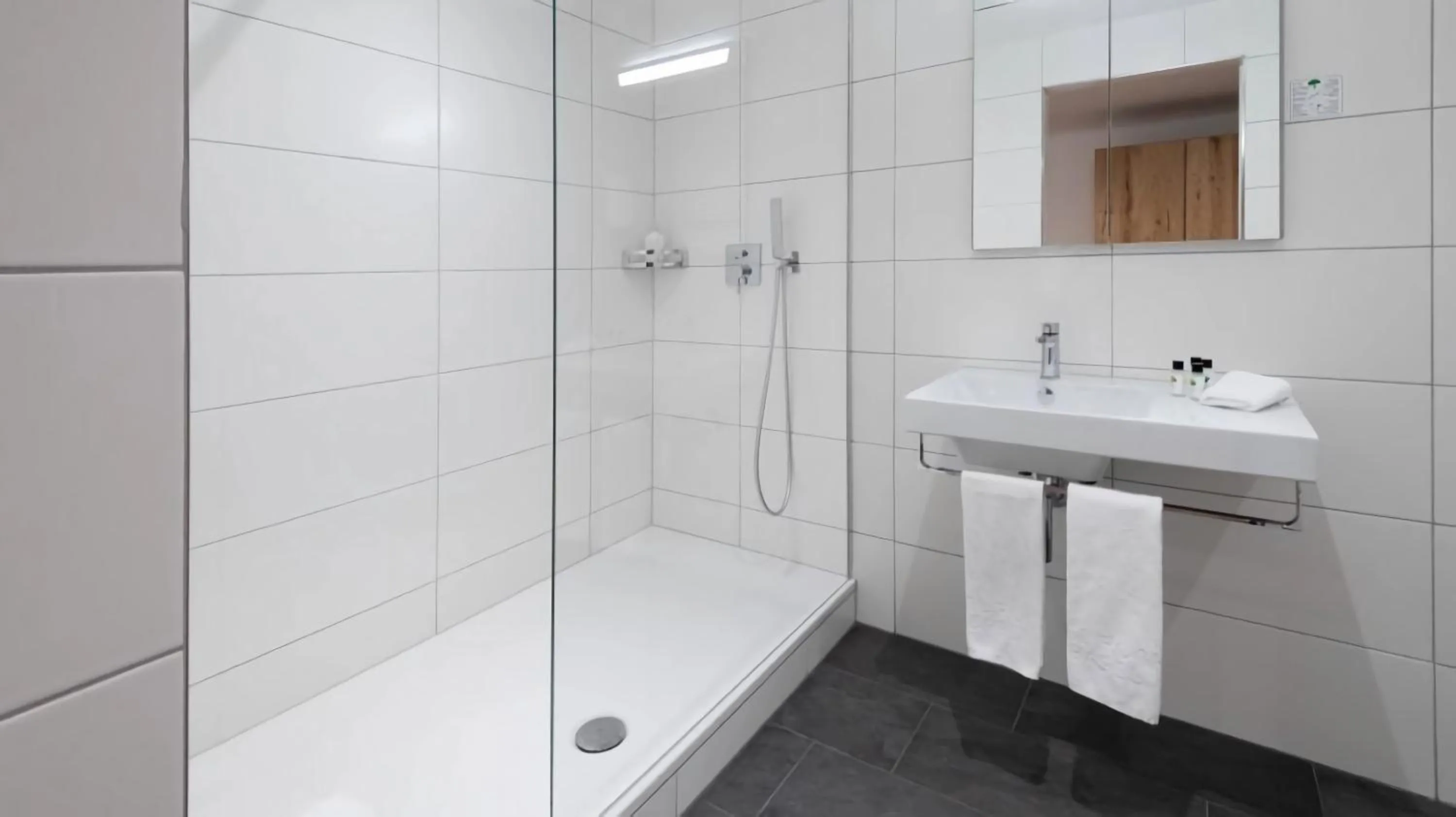 Shower in Central City Hotel Rochat