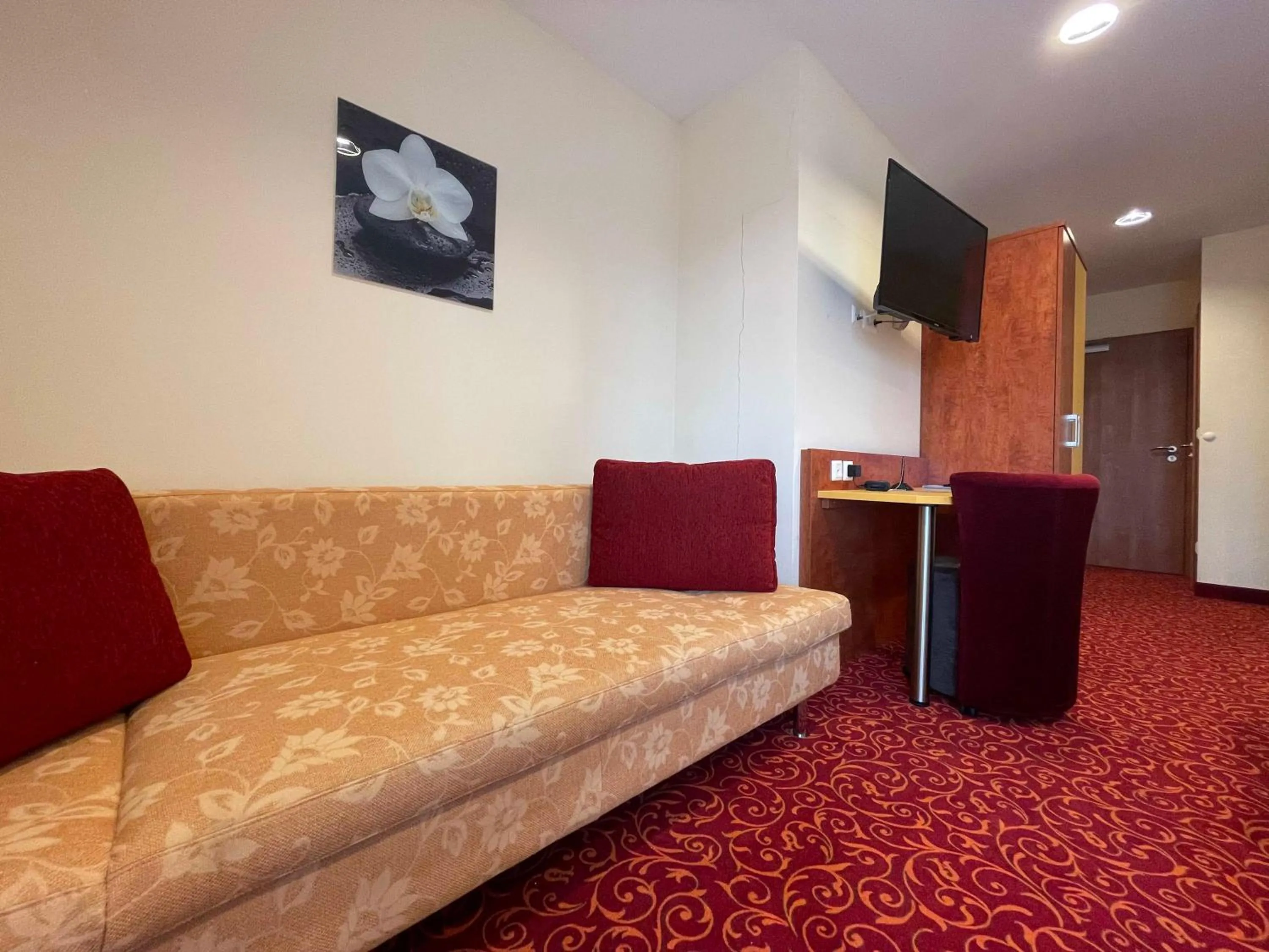 TV and multimedia in ROTHSEE Hotel