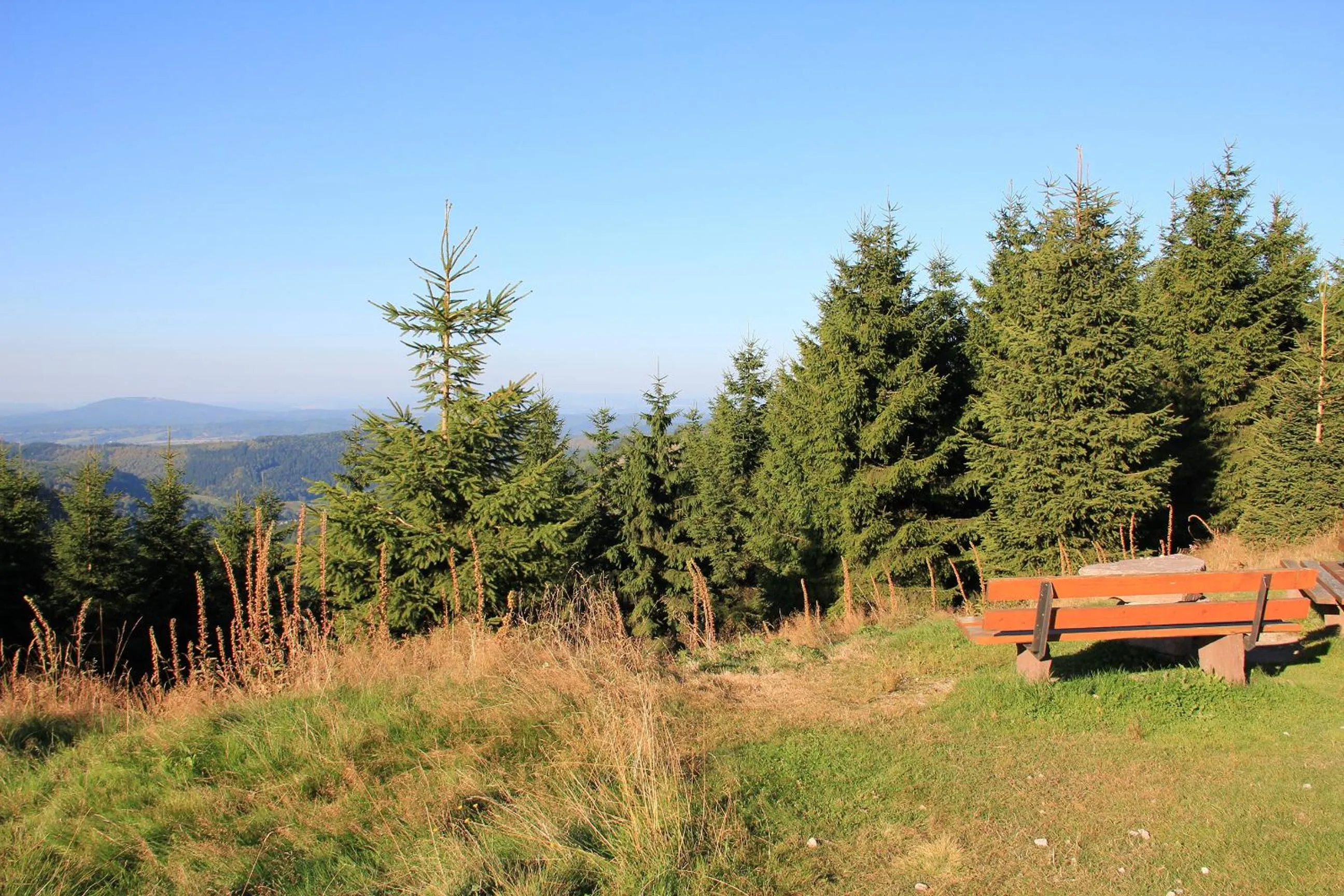 Natural landscape in Aktiv Pension