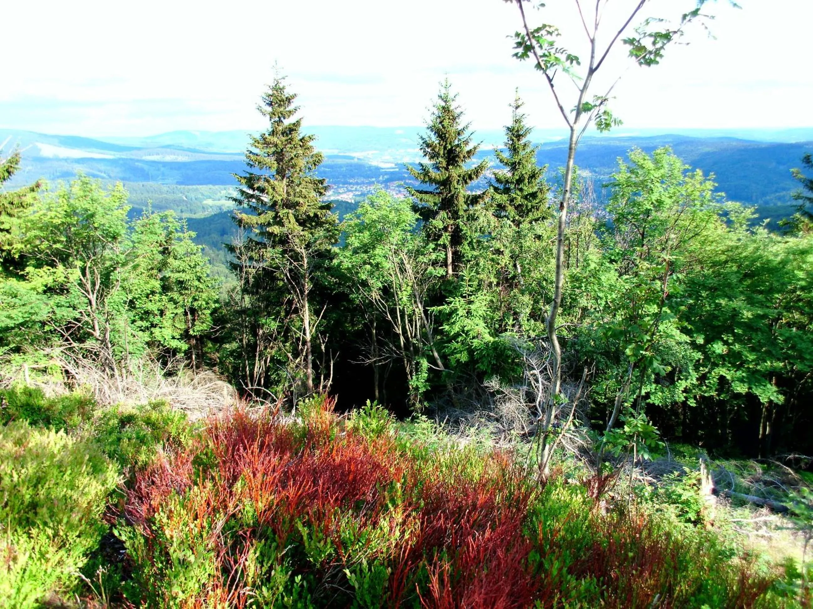 Natural landscape in Aktiv Pension
