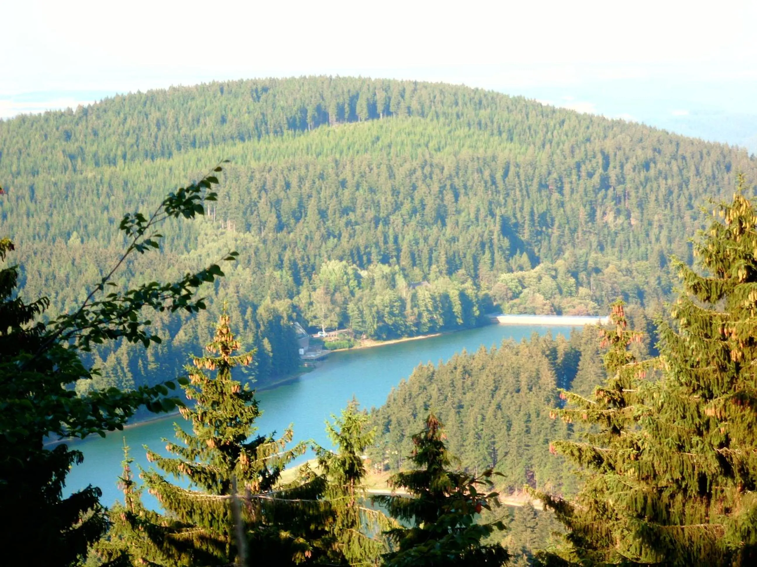 Natural landscape in Aktiv Pension