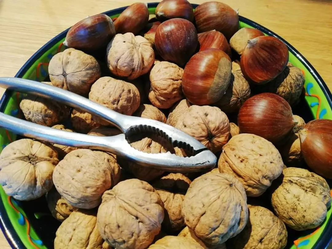 Food in La mia Casa nelle Marche