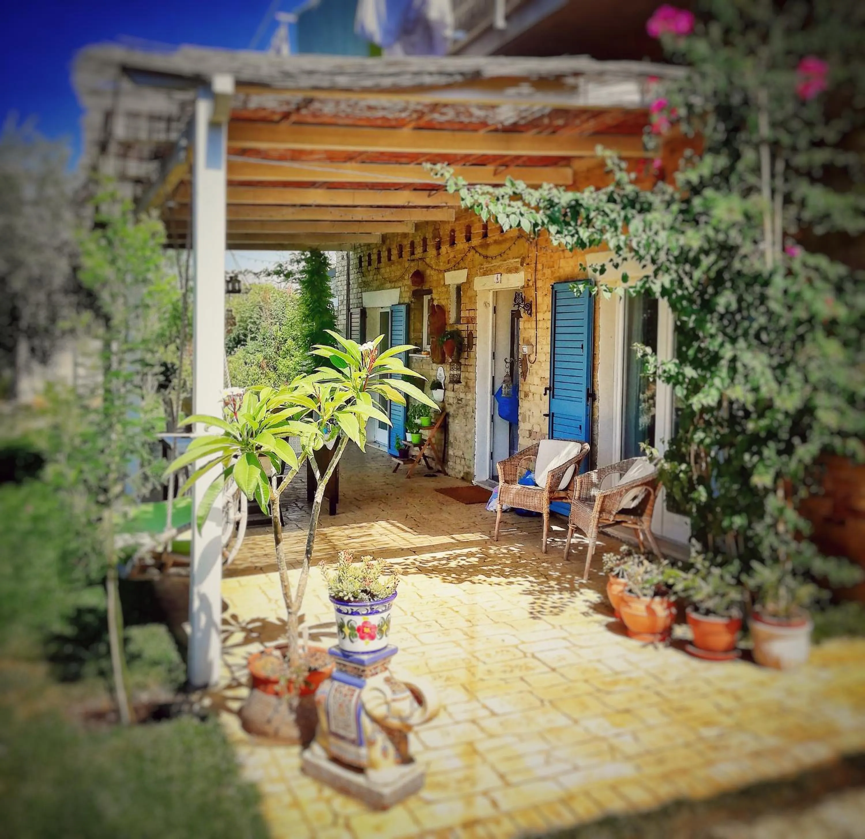 Garden in La mia Casa nelle Marche