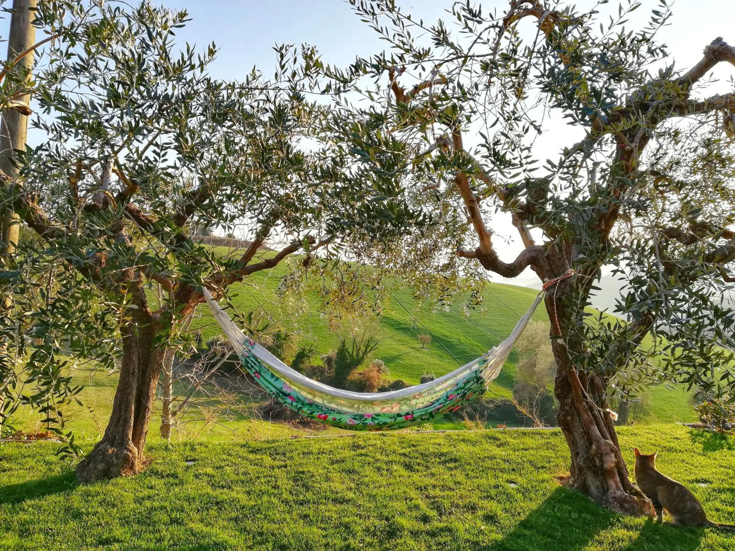 Garden in La mia Casa nelle Marche