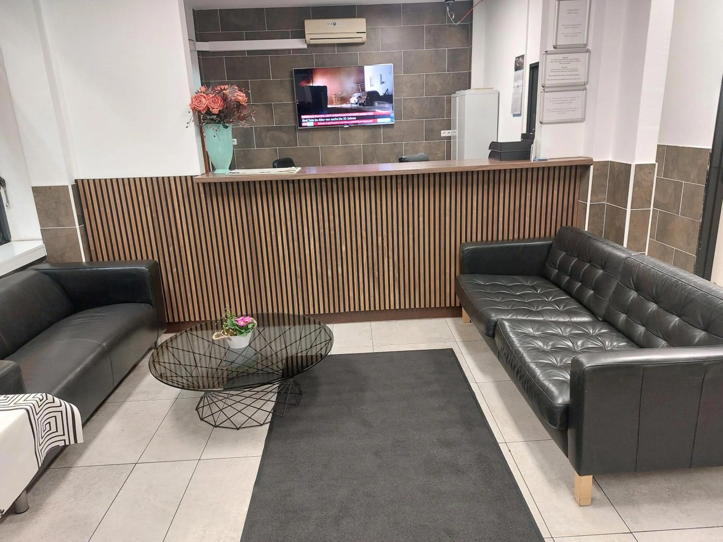 TV and multimedia in Pension Alpha