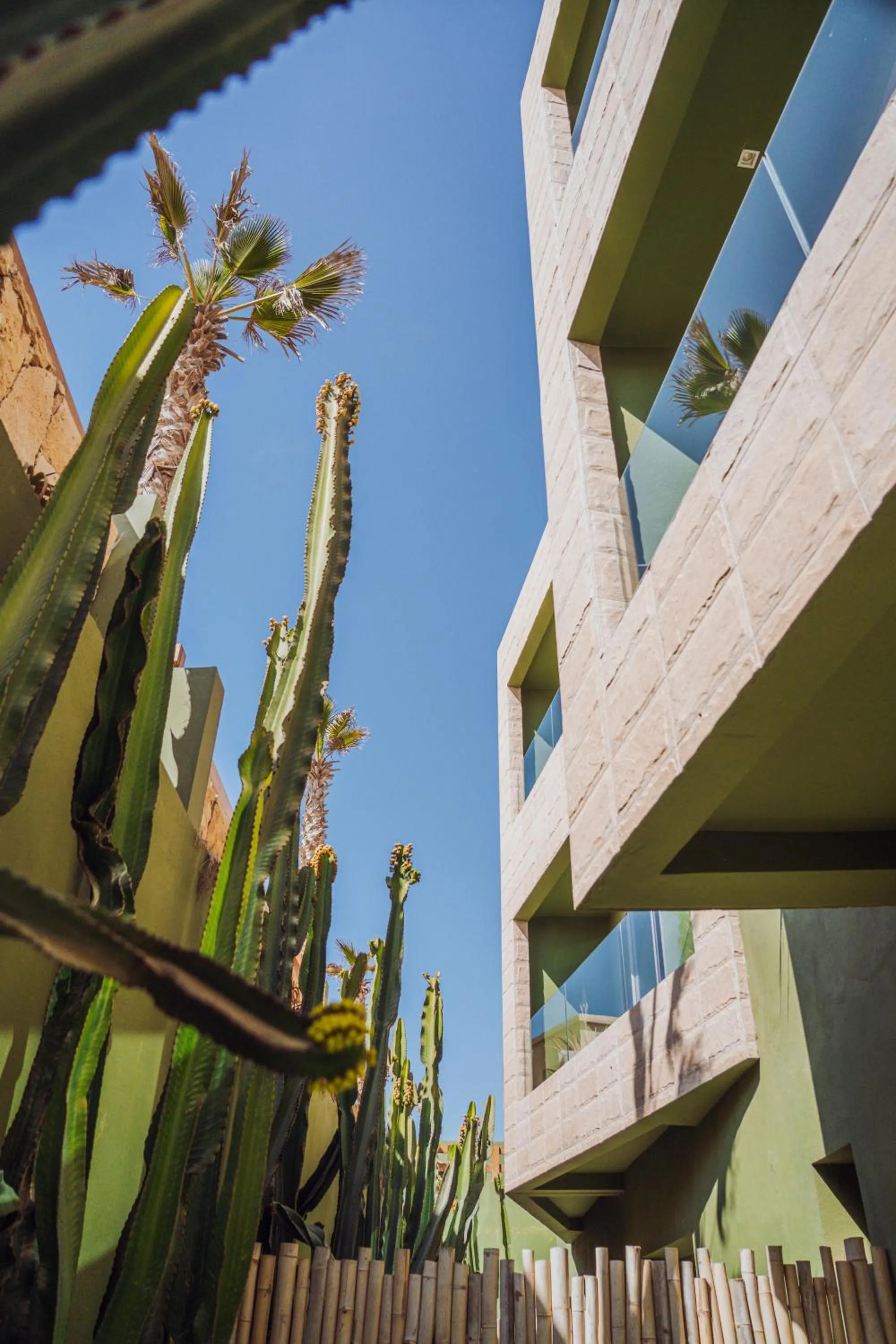 Garden in Dakhla South Bay