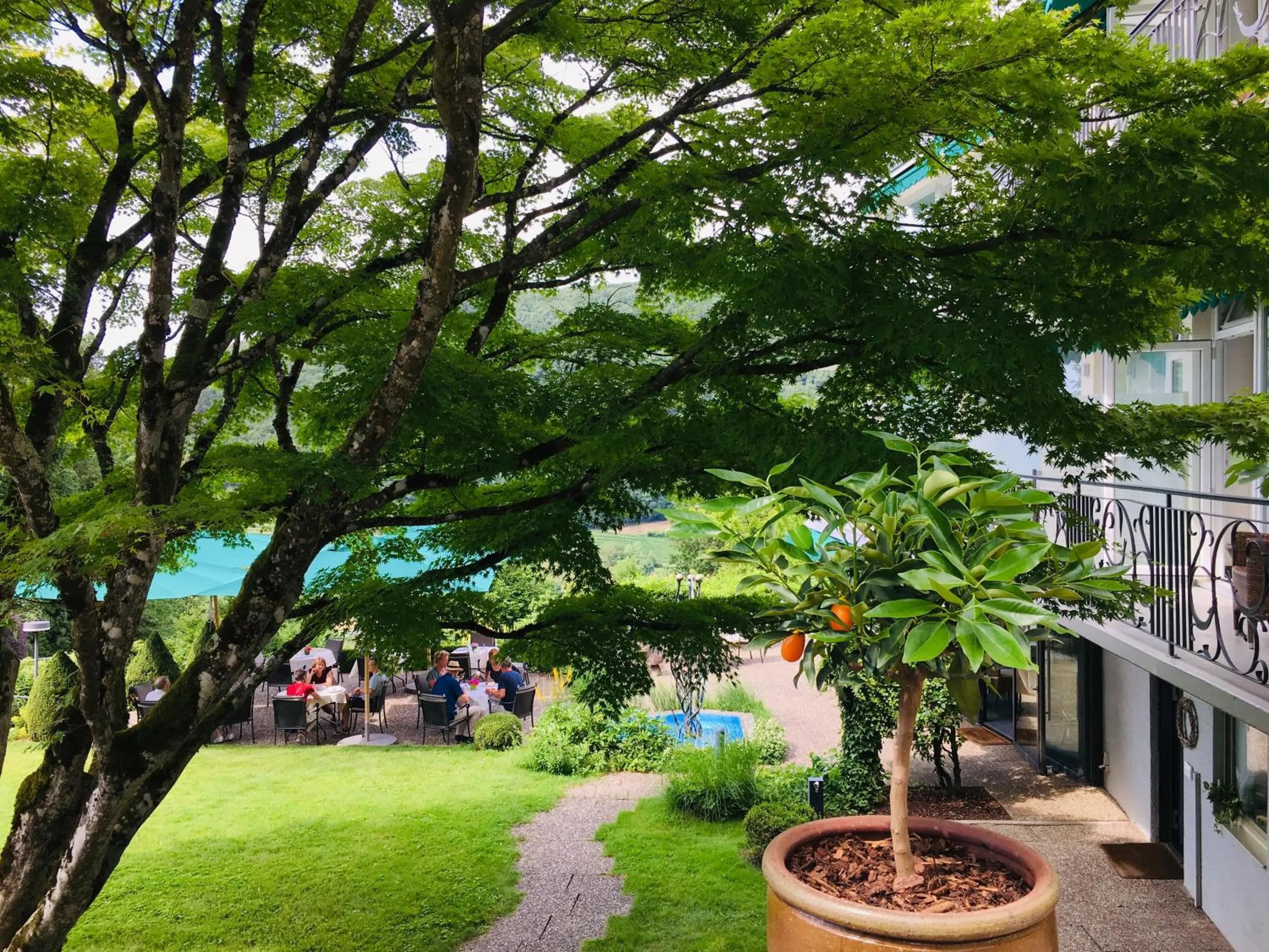 Other in Hotel Schlossberg