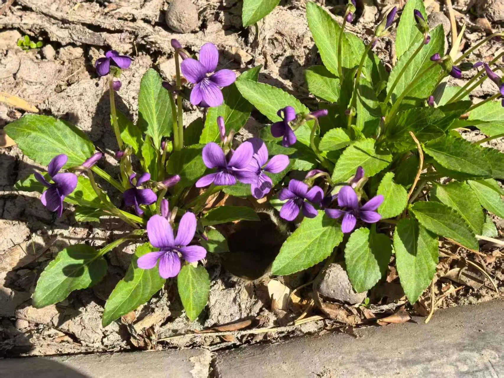 Beijing Jingyuan Courtyard Hotel