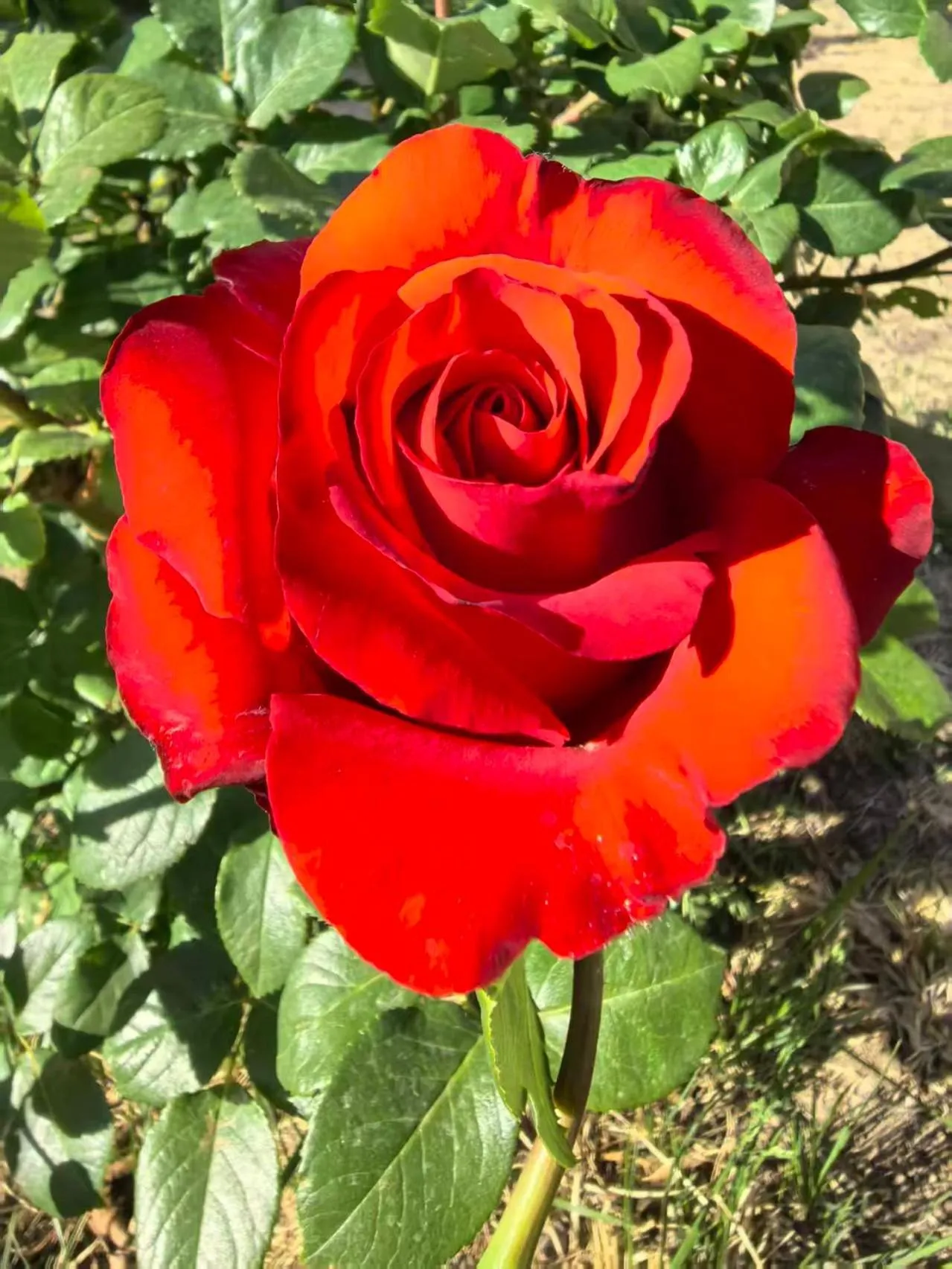 Beijing Jingyuan Courtyard Hotel