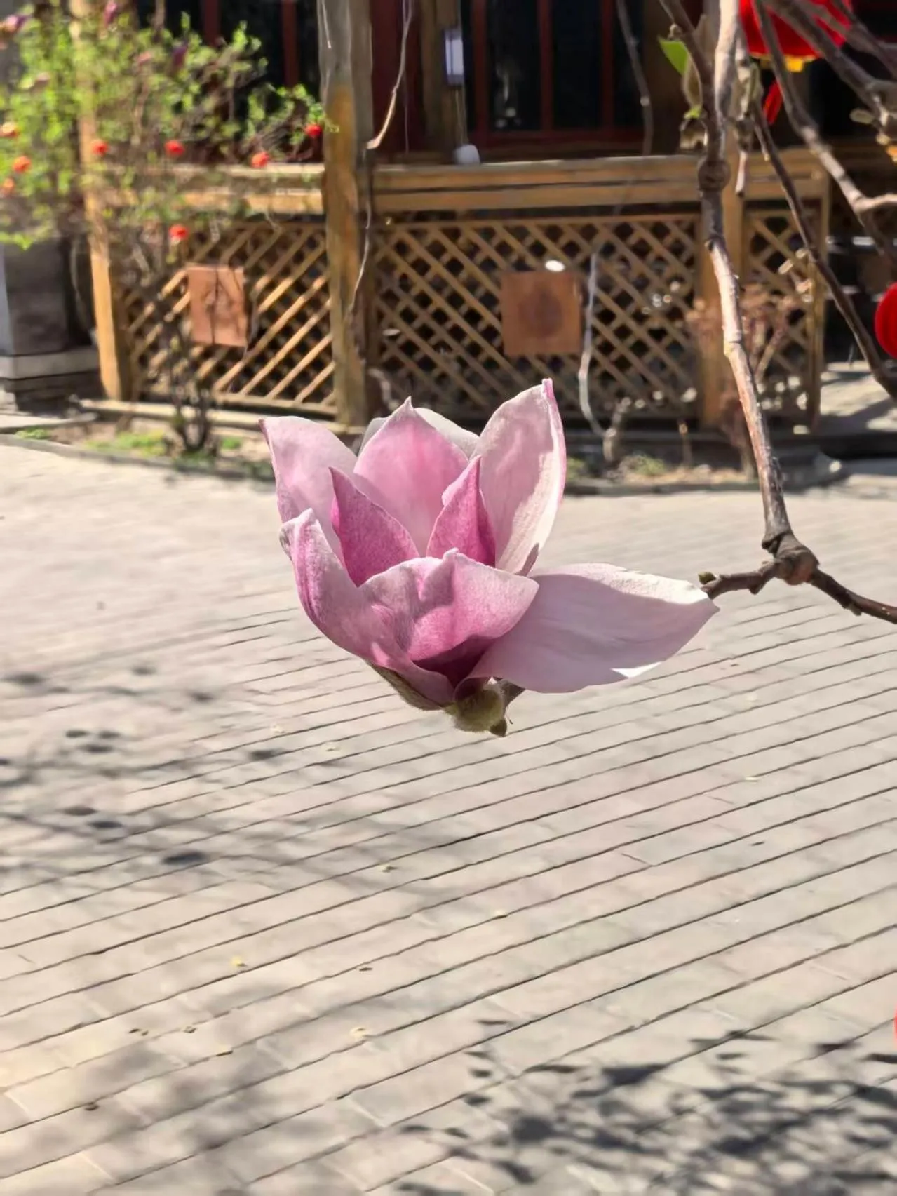 Beijing Jingyuan Courtyard Hotel