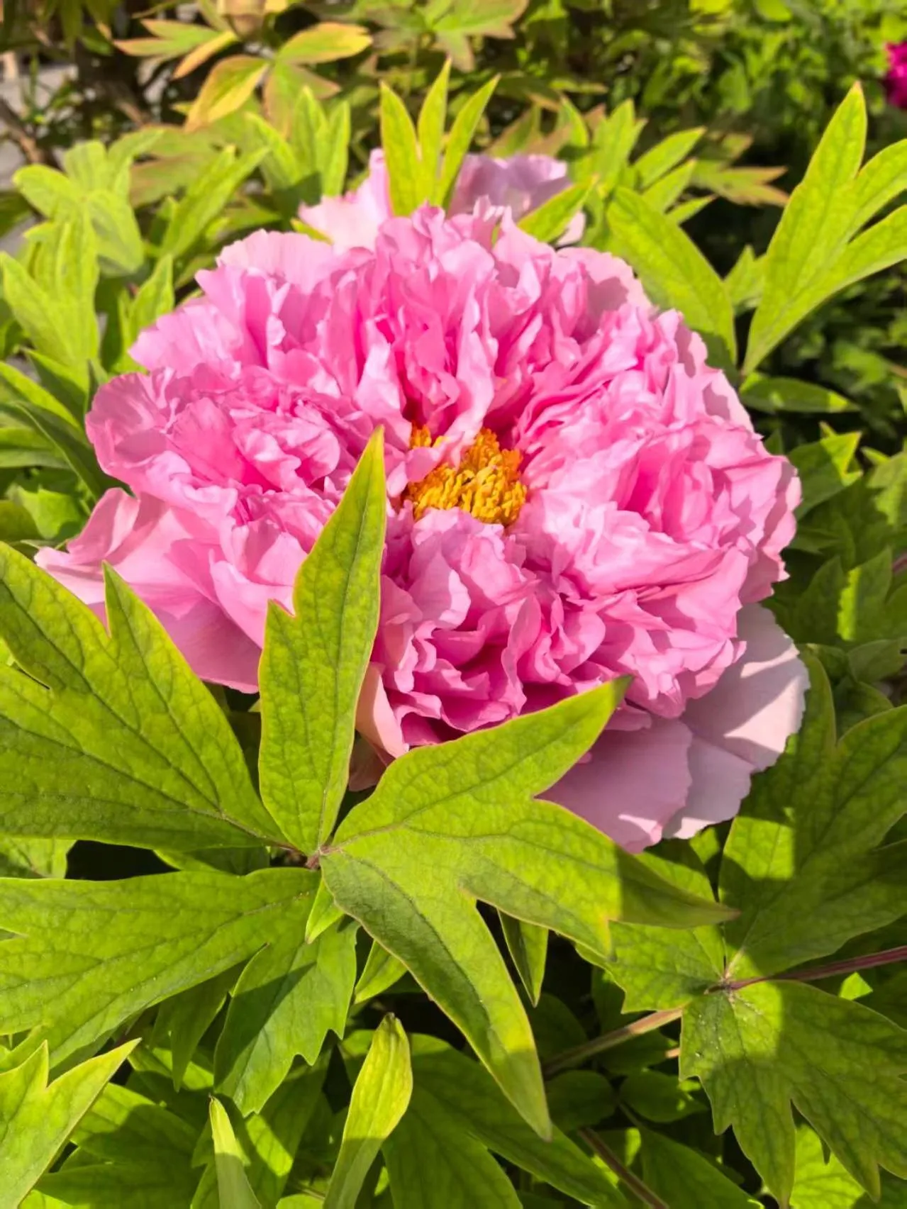 Beijing Jingyuan Courtyard Hotel